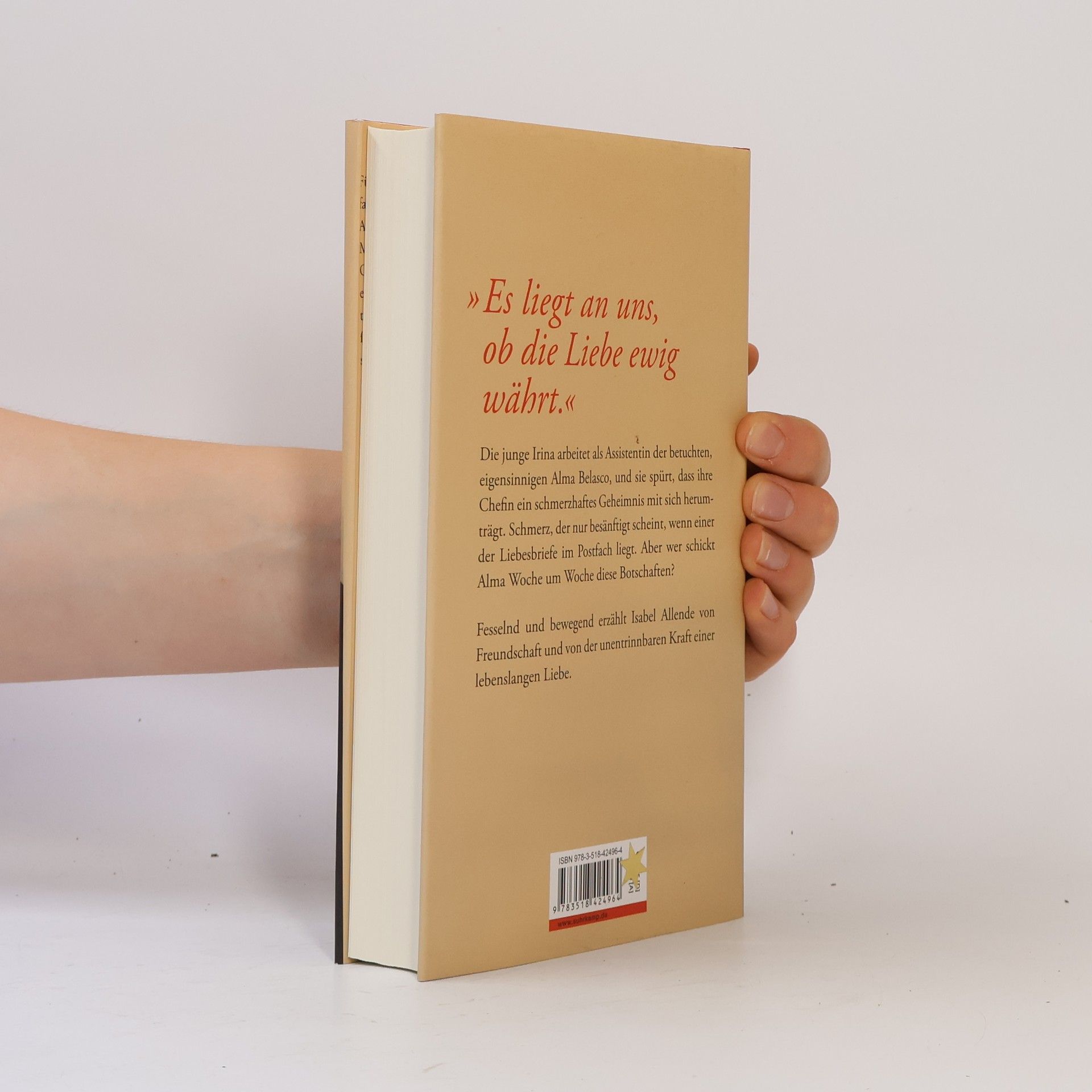 Isabel Allende Llona Der japanische Liebhaber