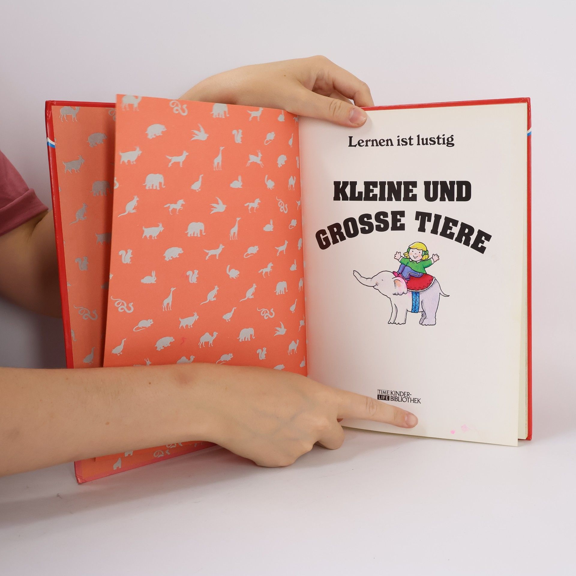 Marianne Tölle Kleine und grosse Tiere