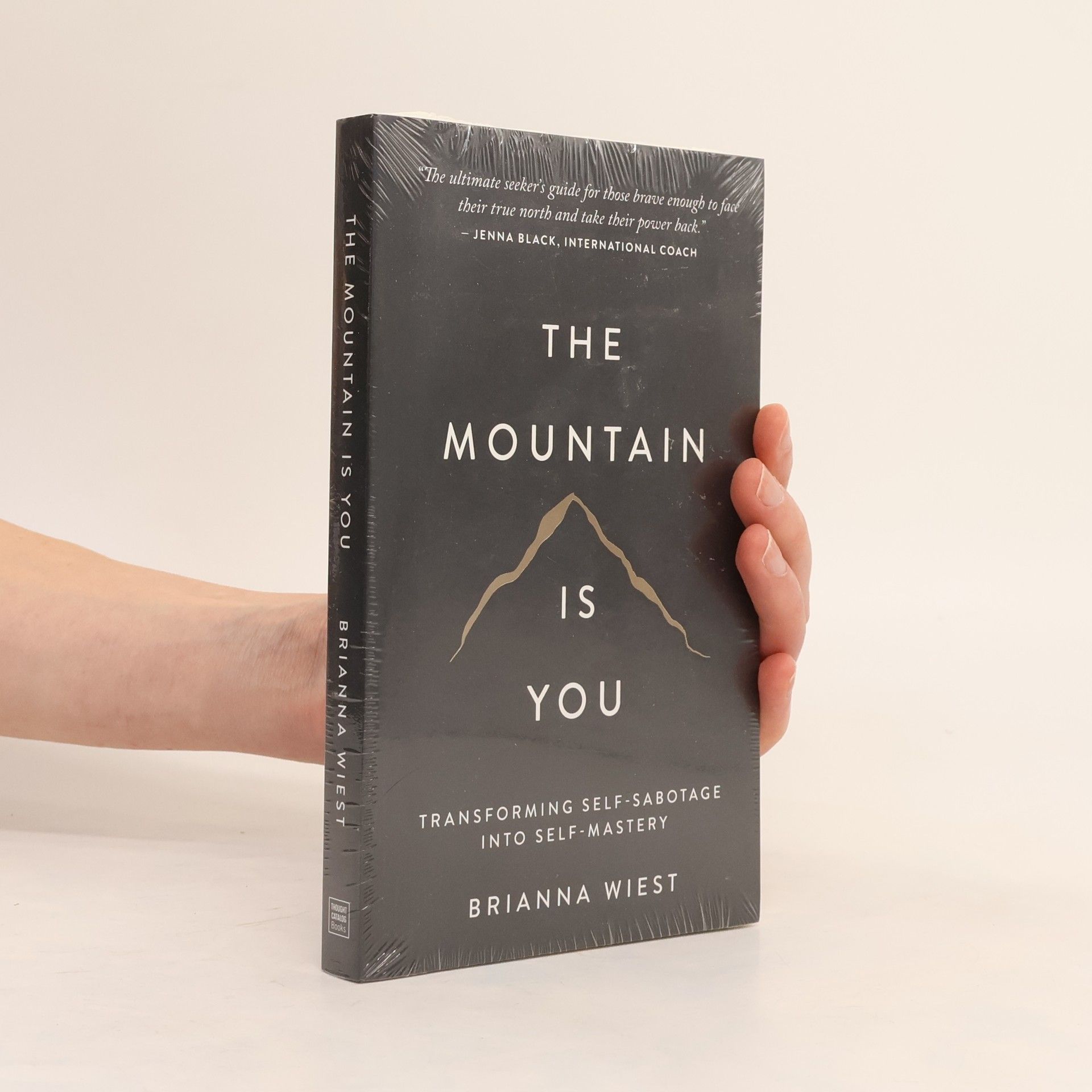 Brianna Wiest The Mountain Is You