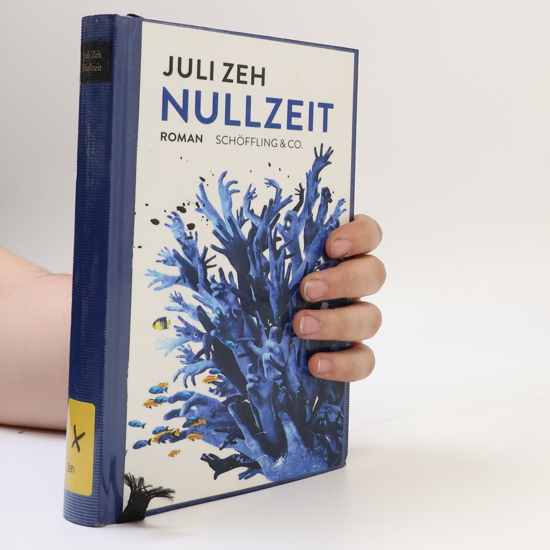 Juli Zeh Nullzeit