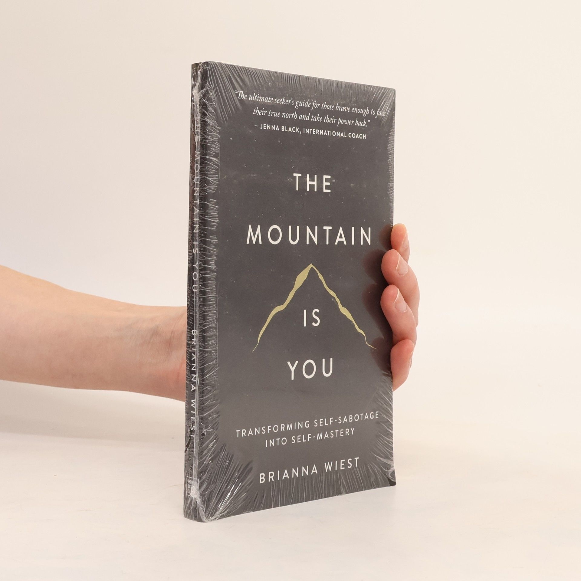 Brianna Wiest The Mountain Is You