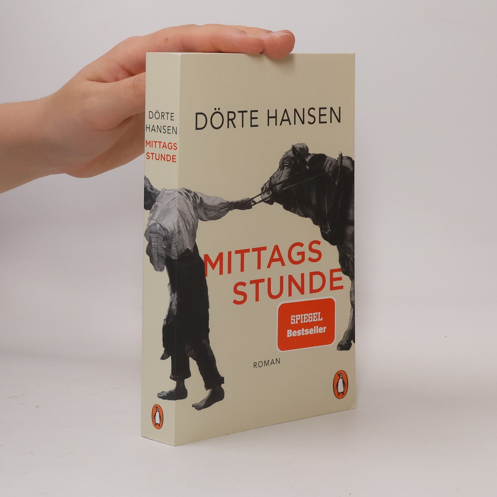 Dörte Hansen Mittagsstunde