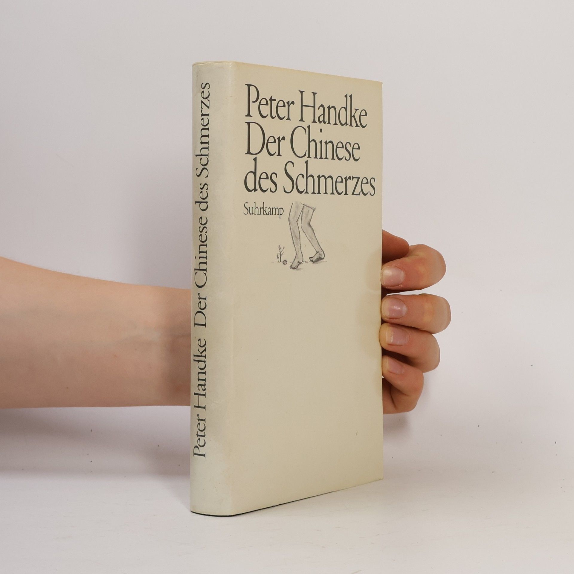 Peter Handke Der Chinese des Schmerzes