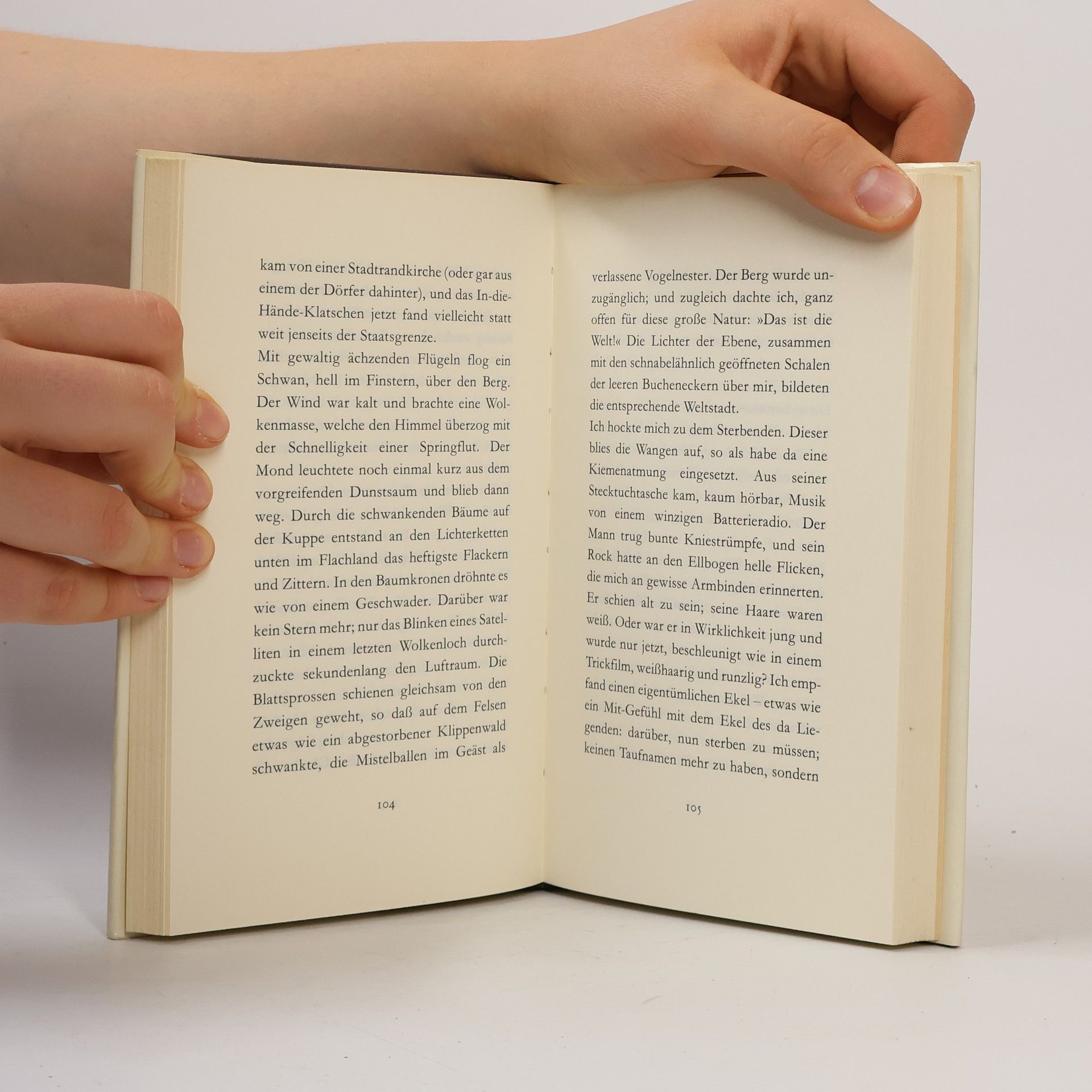 Peter Handke Der Chinese des Schmerzes