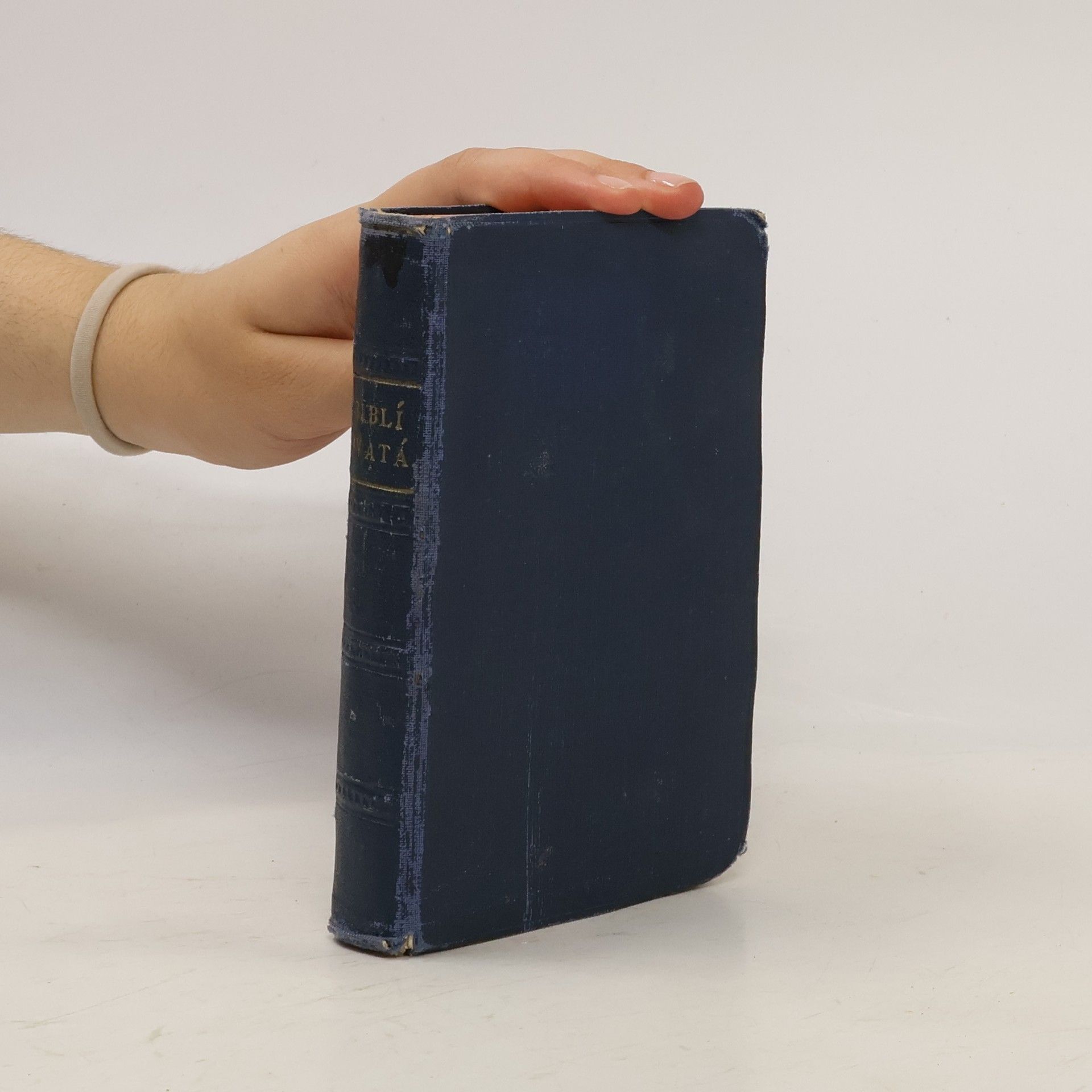 Autorenkollektiv Biblí svatá aneb všecka svatá písma Starého i Nového zákona