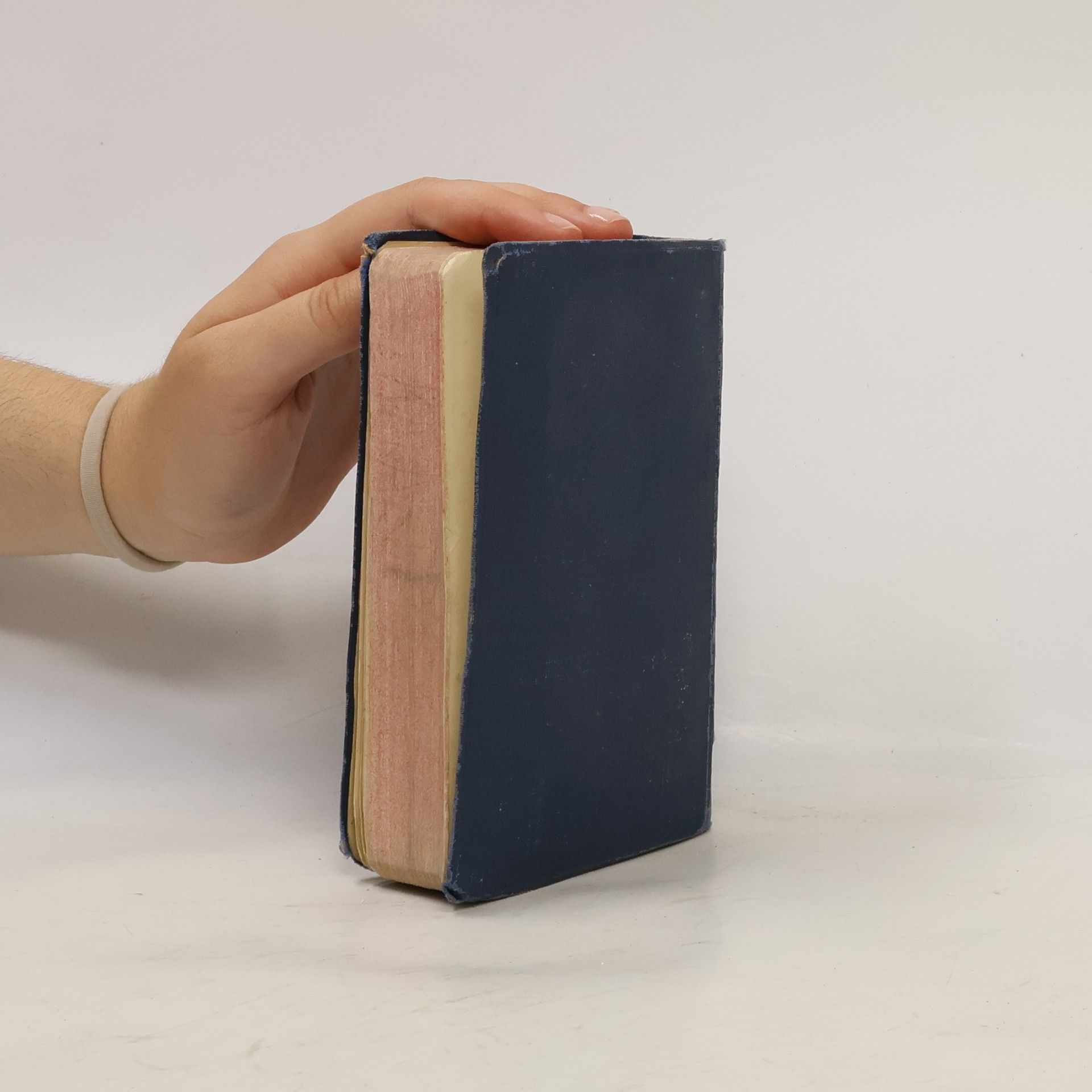 Autorenkollektiv Biblí svatá aneb všecka svatá písma Starého i Nového zákona