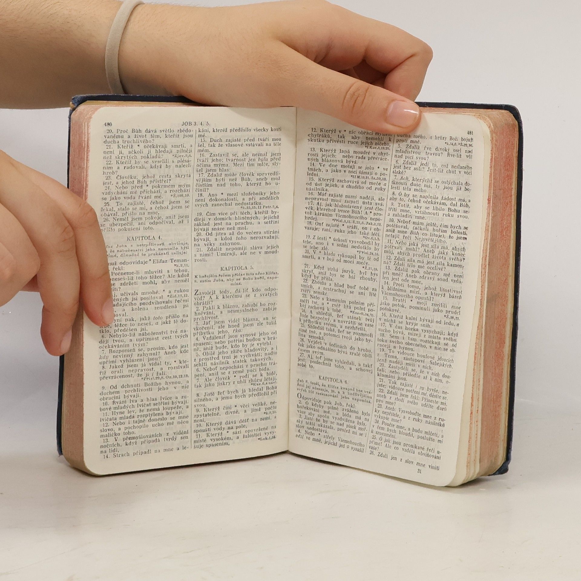 Autorenkollektiv Biblí svatá aneb všecka svatá písma Starého i Nového zákona