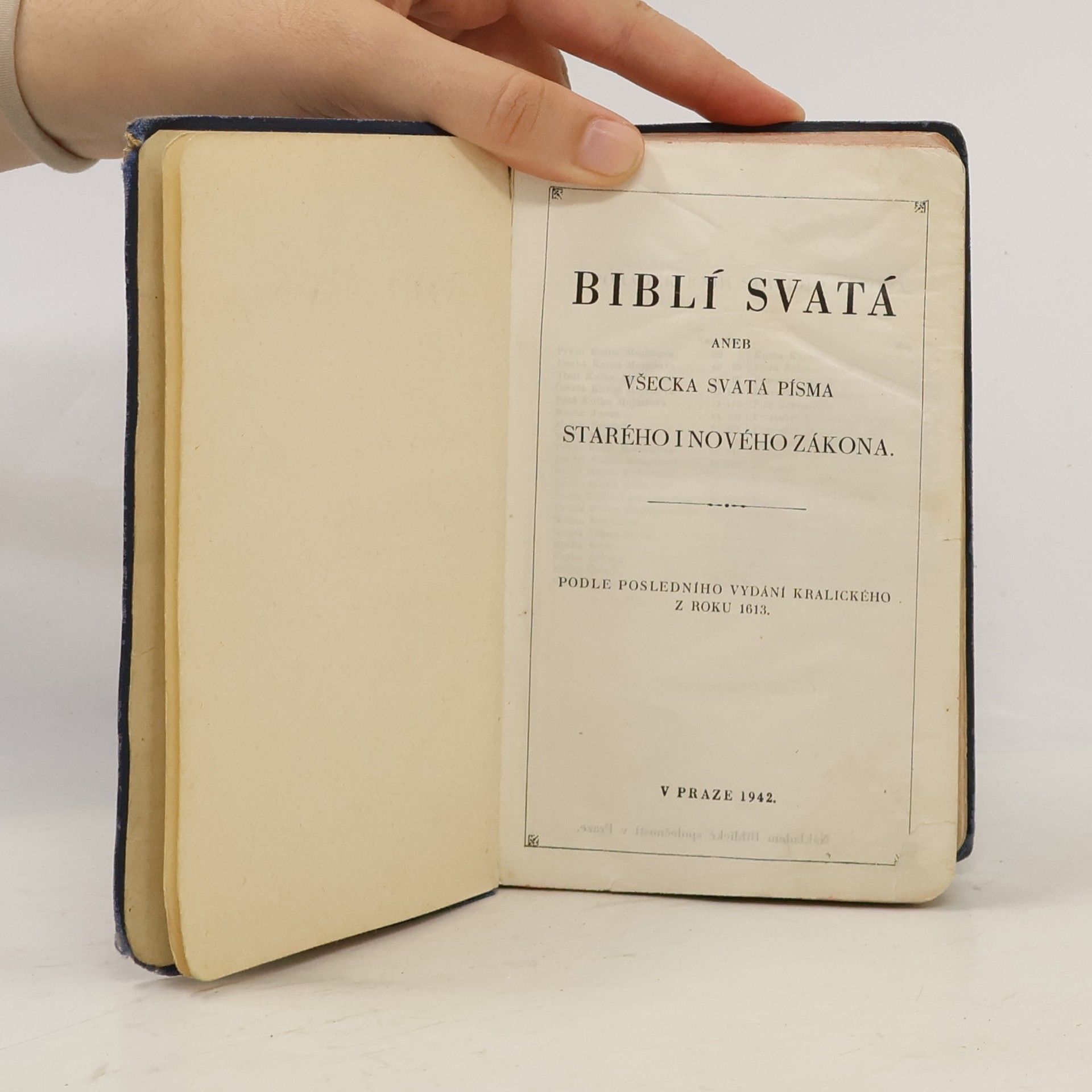 Autorenkollektiv Biblí svatá aneb všecka svatá písma Starého i Nového zákona