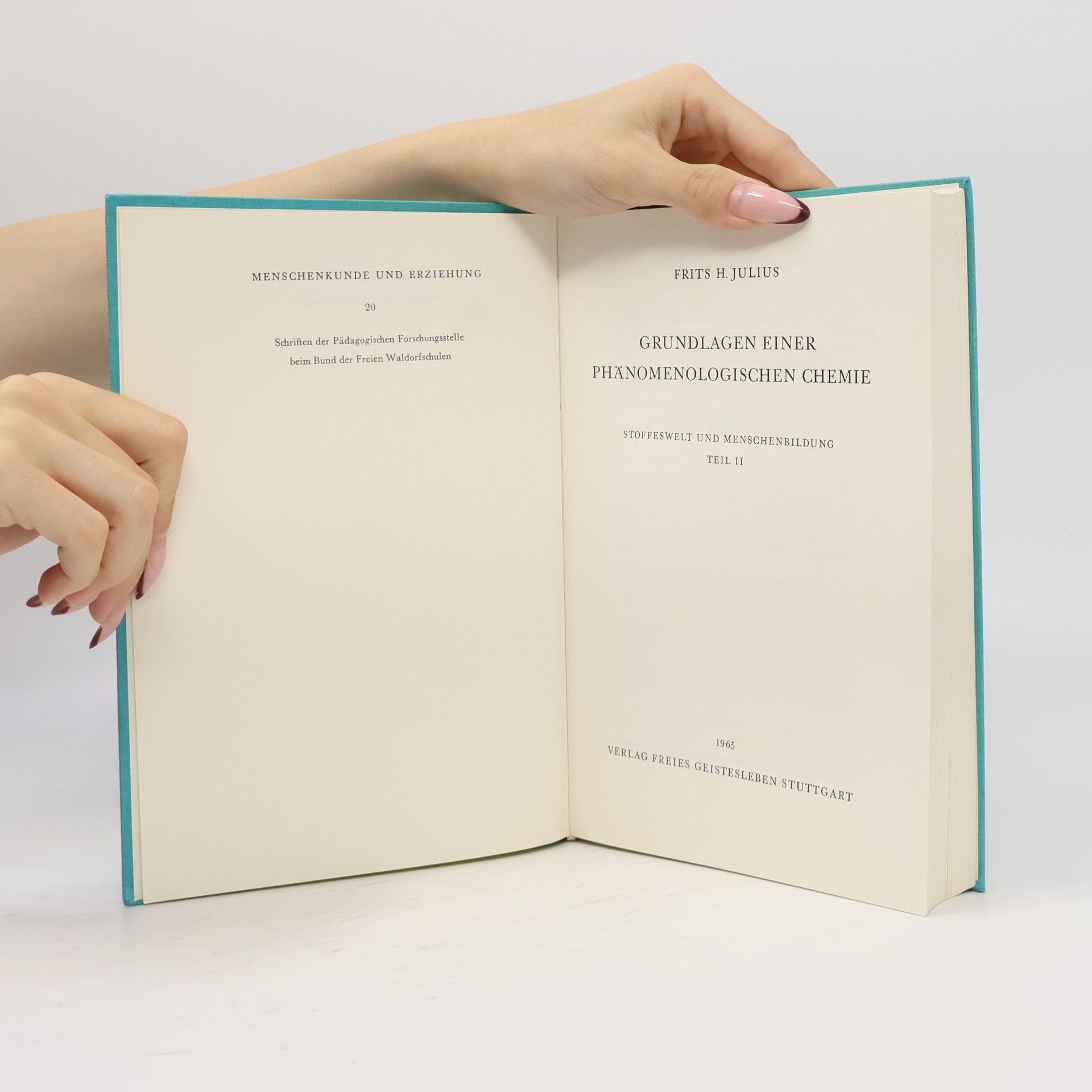 Frits H. Julius Grundlagen einer phänomenologischen Chemie