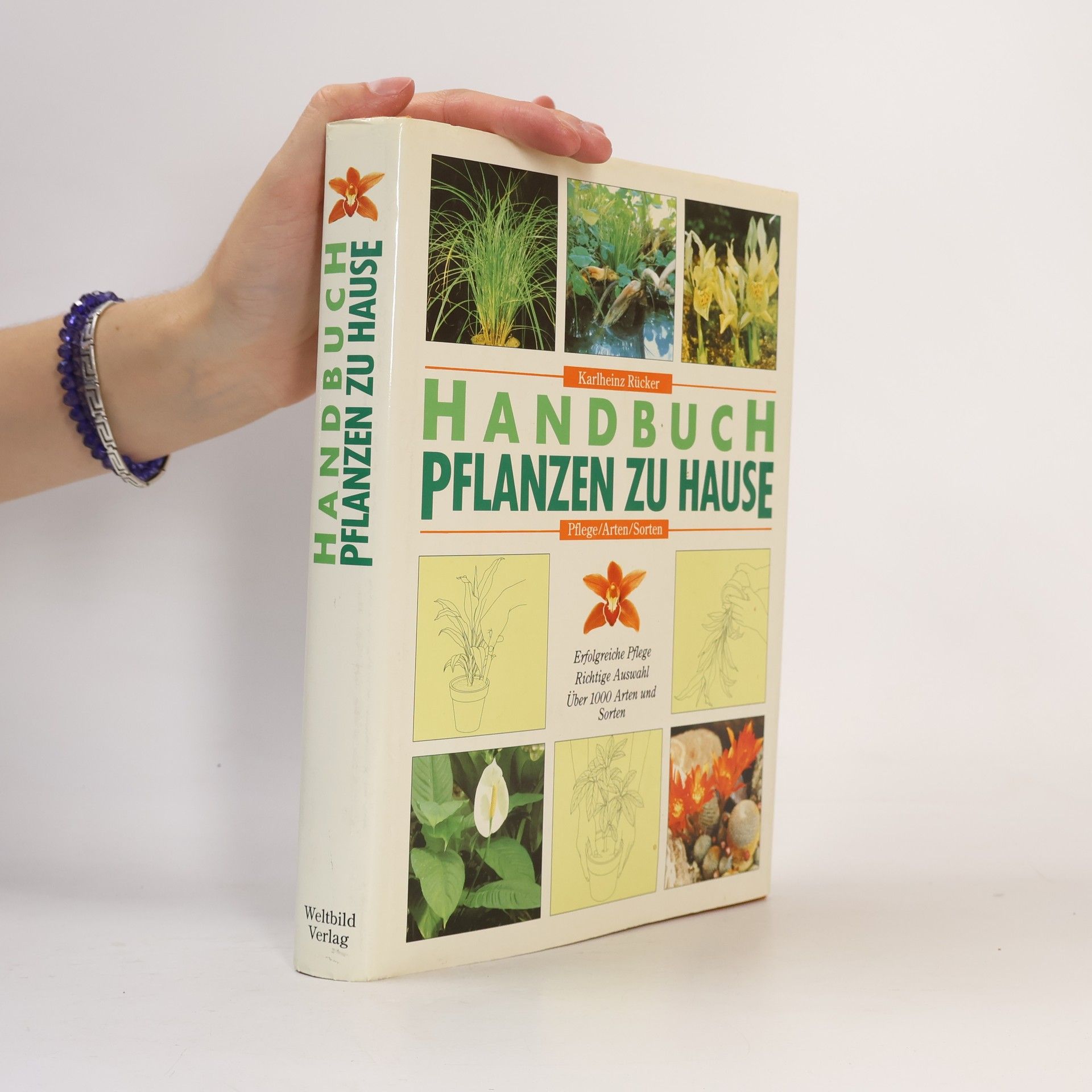 Karlheinz Rücker Handbuch Pflanzen zu Hause