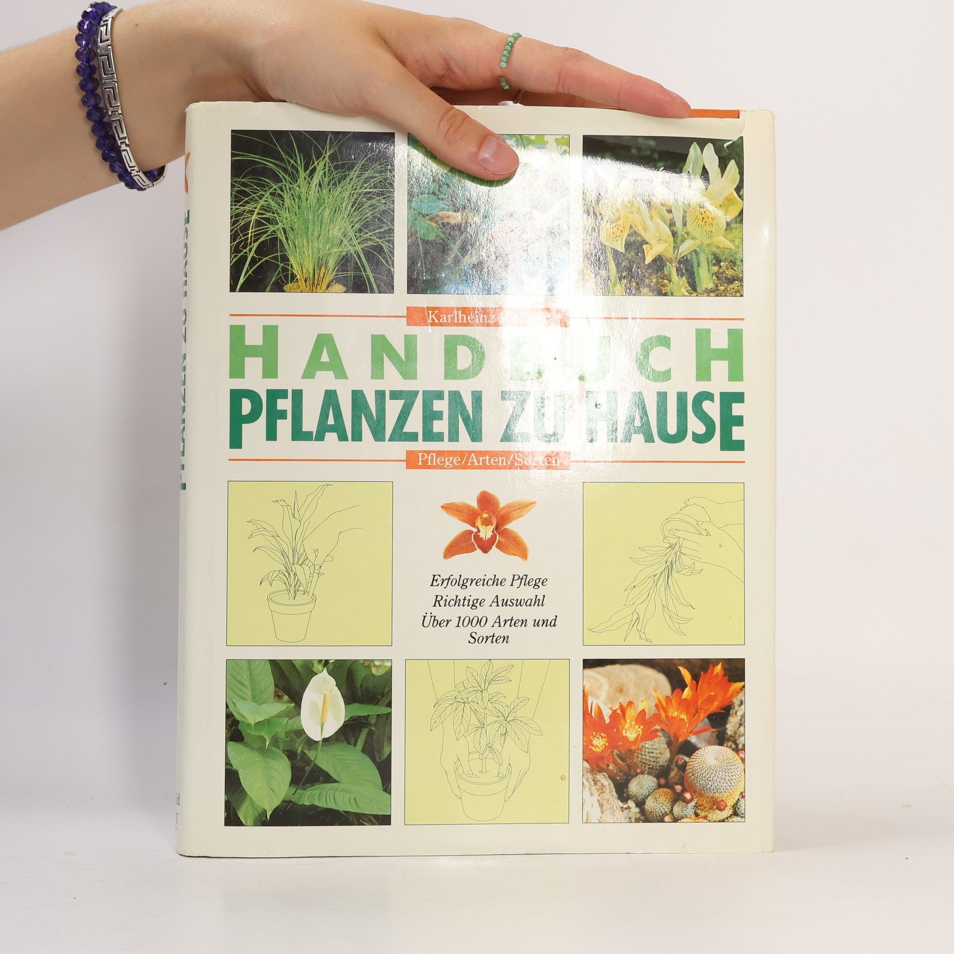 Karlheinz Rücker Handbuch Pflanzen zu Hause