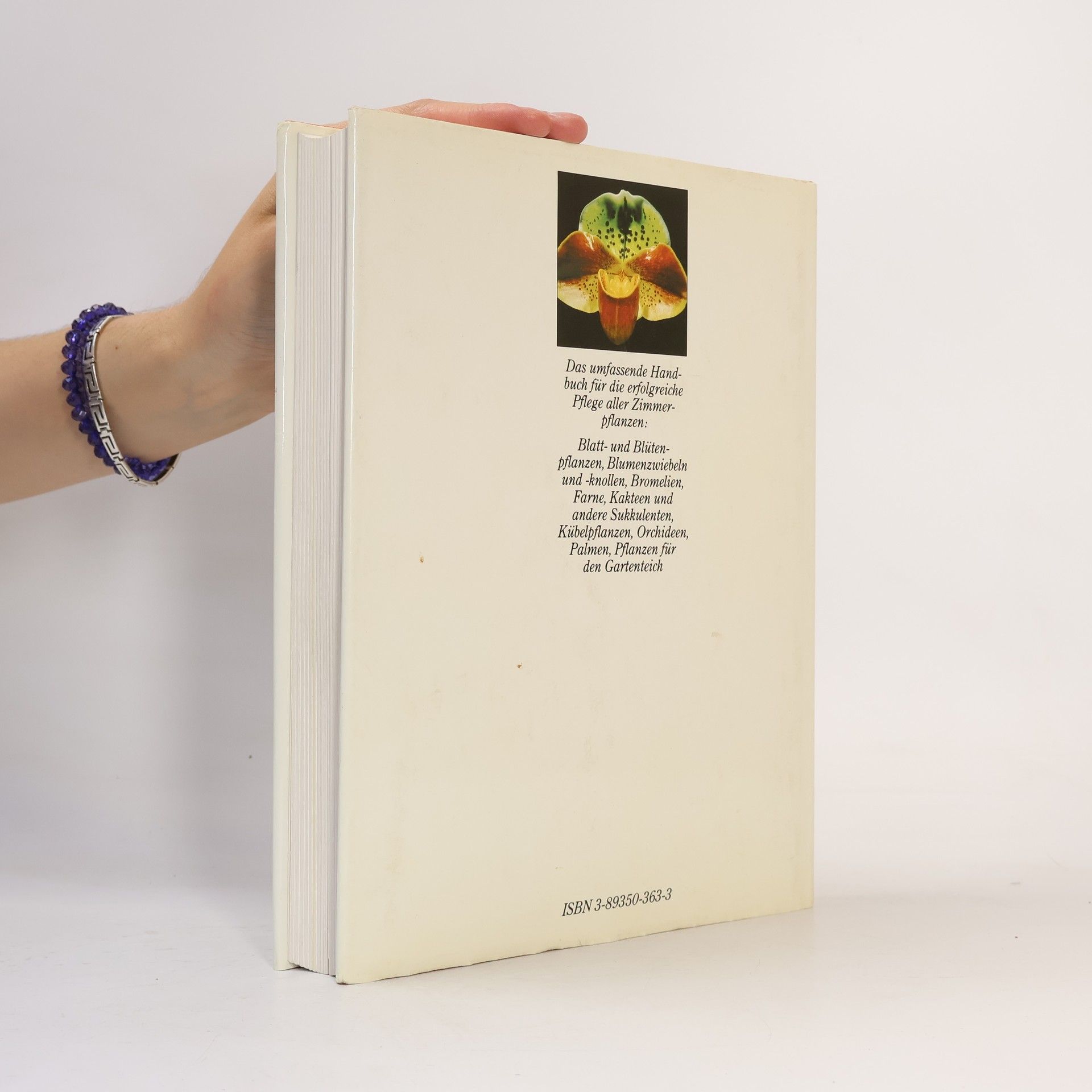 Karlheinz Rücker Handbuch Pflanzen zu Hause