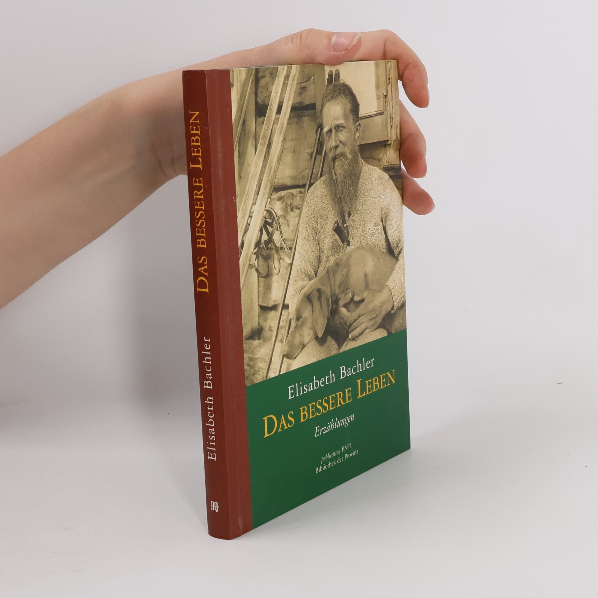 Elisabeth Bachler Das bessere Leben