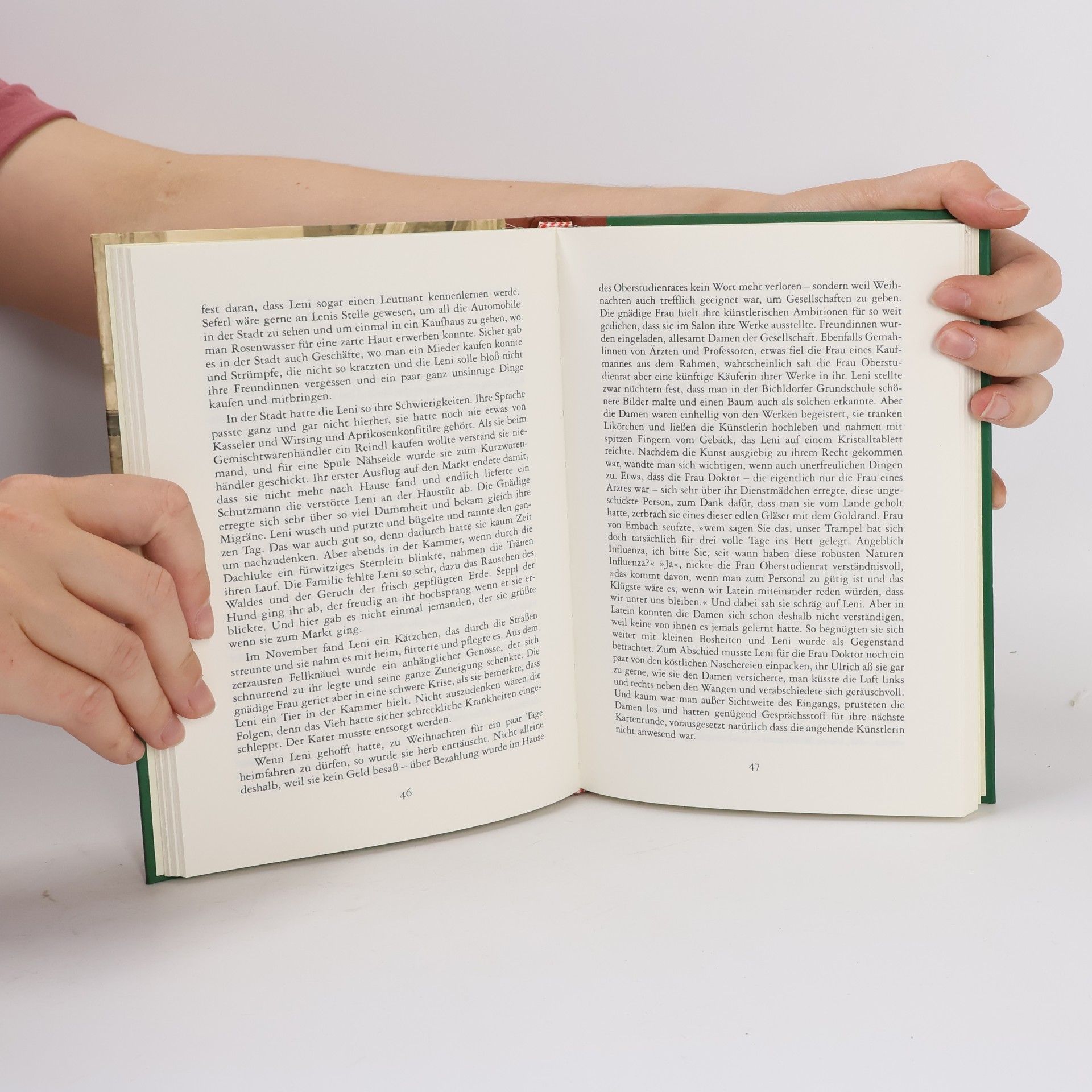Elisabeth Bachler Das bessere Leben