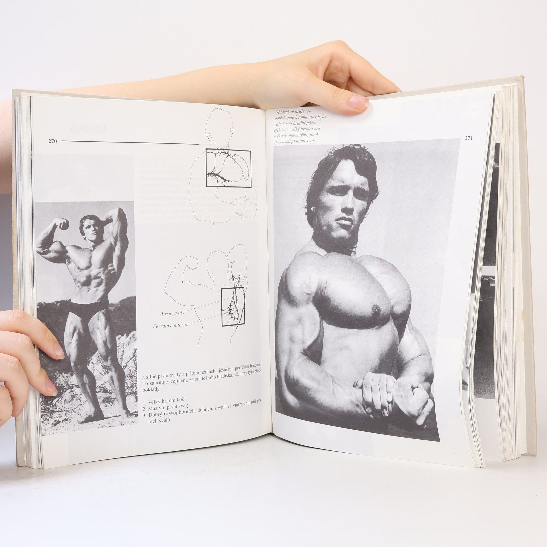 Arnold Schwarzenegger Encyklopedie moderní kulturistiky