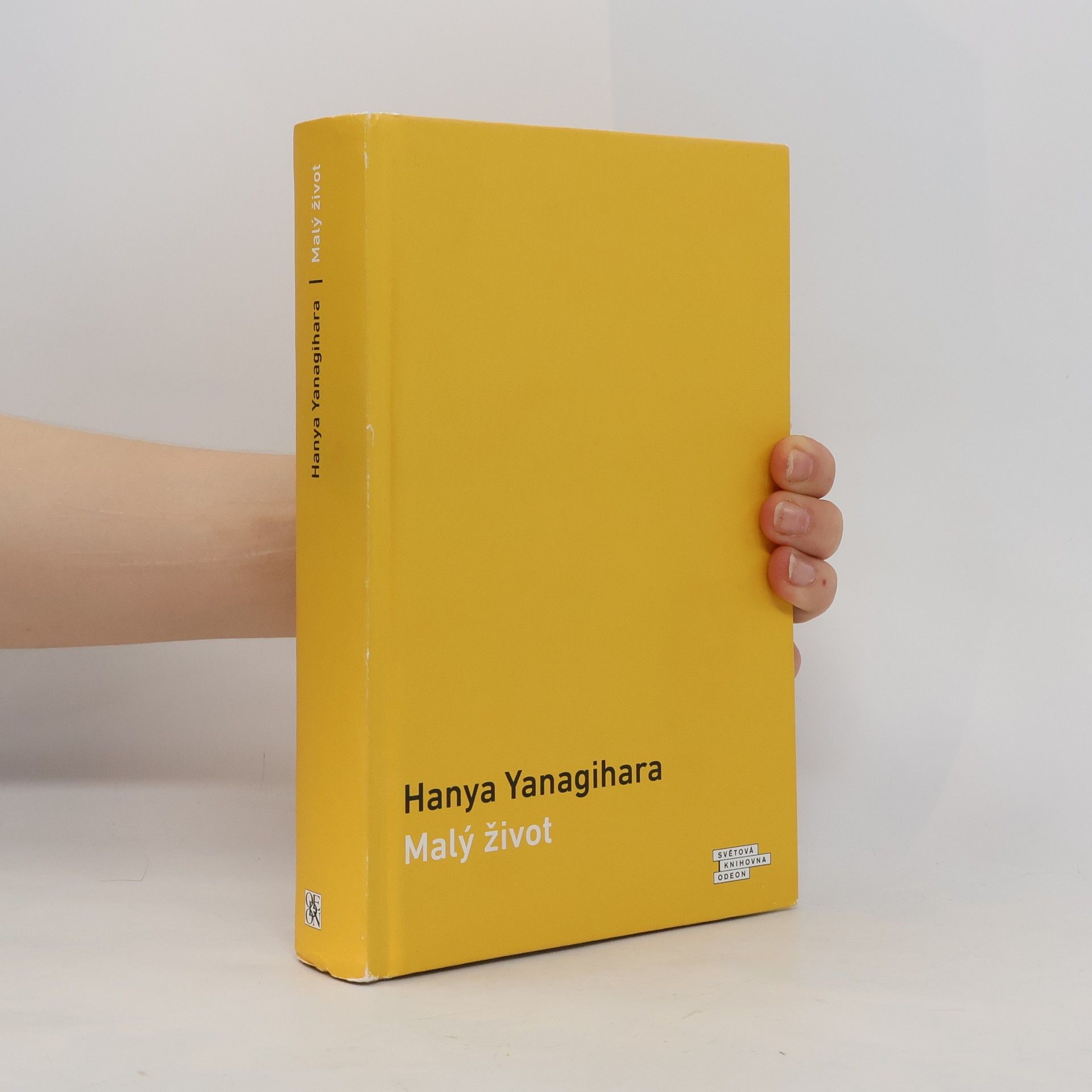 Hanya Yanagihara Malý život