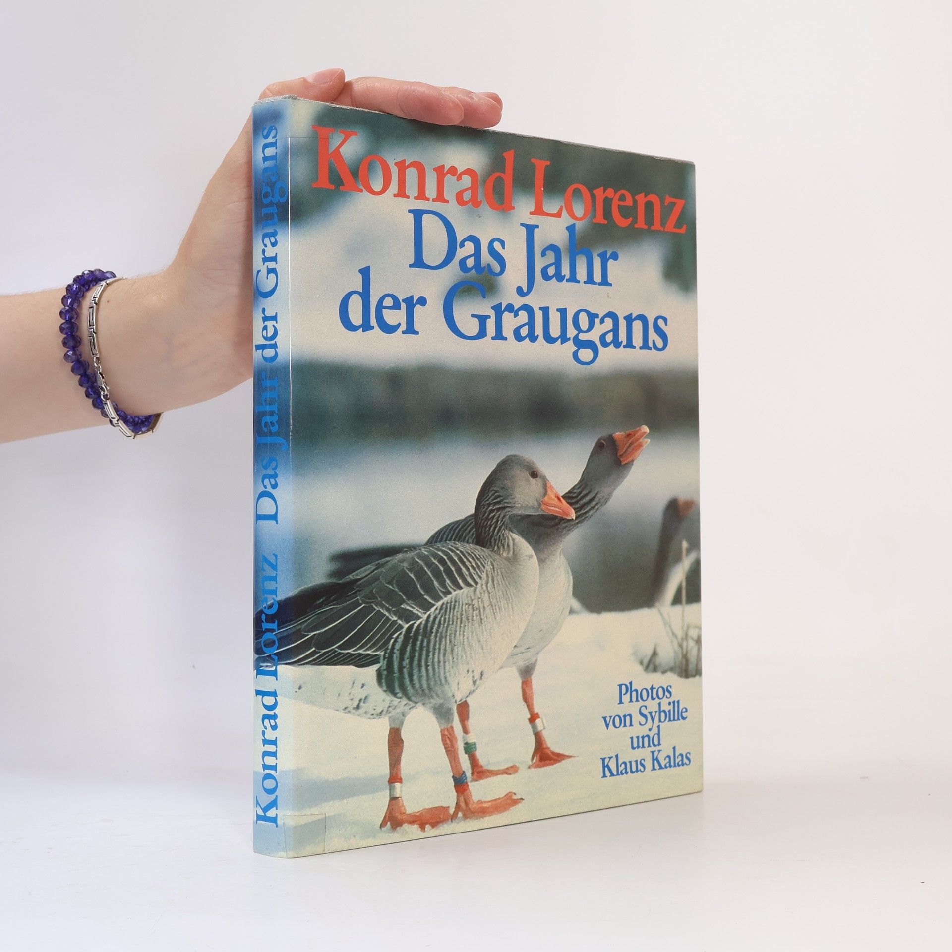 Konrad Lorenz Das Jahr der Graugans