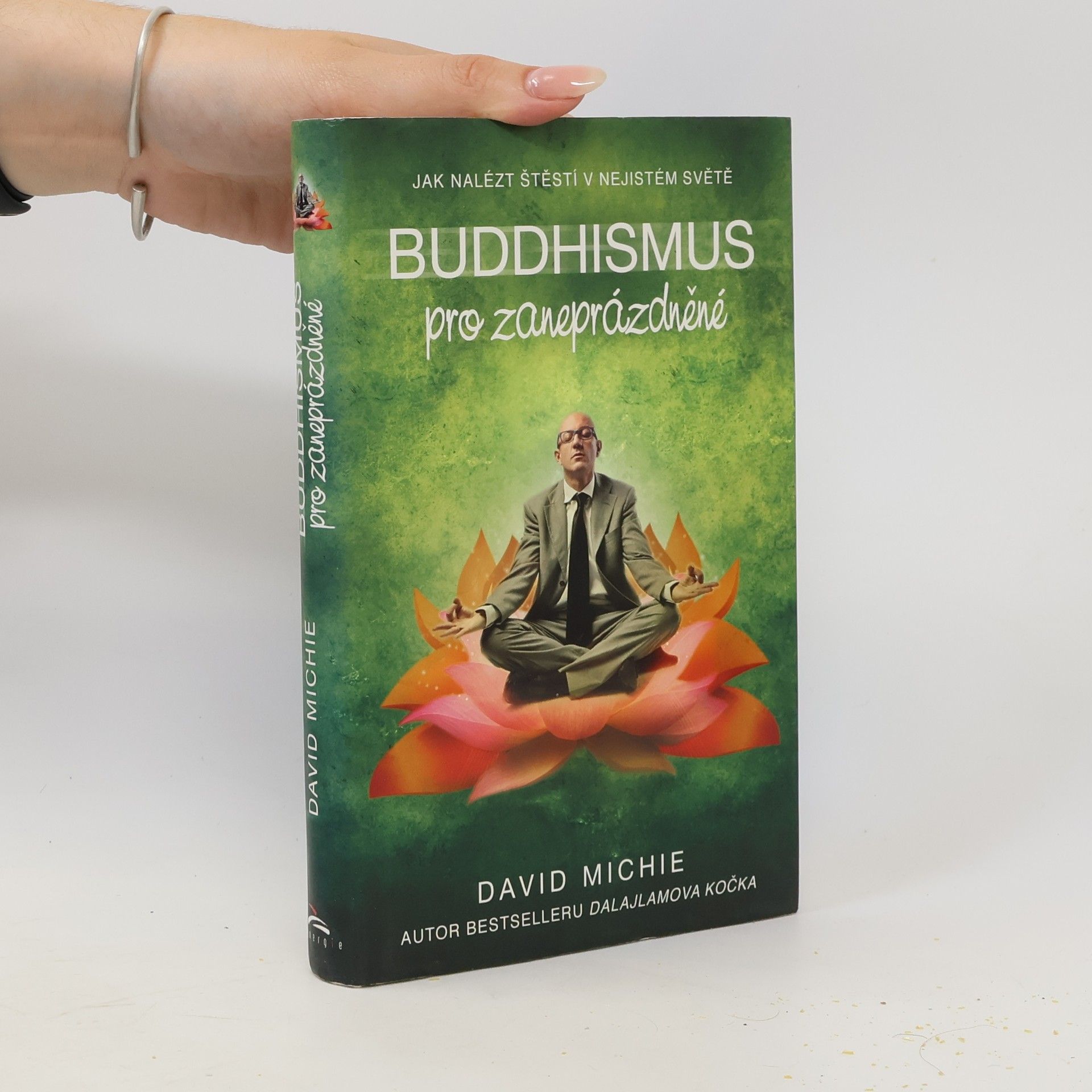 David Michie Buddhismus pro zaneprázdněné