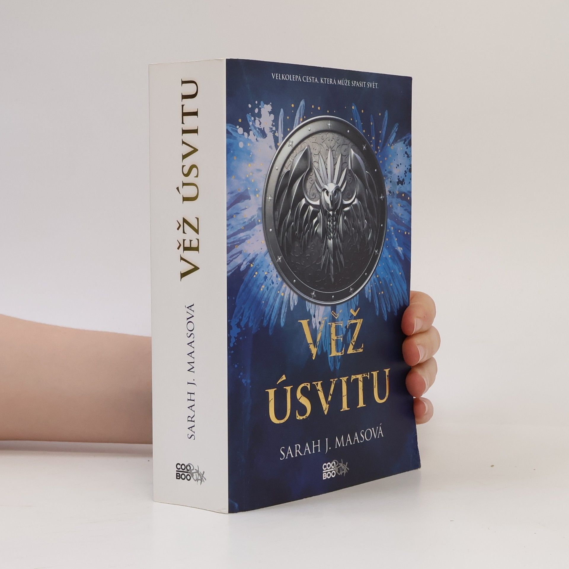 Sarah J. Maas Věž úsvitu