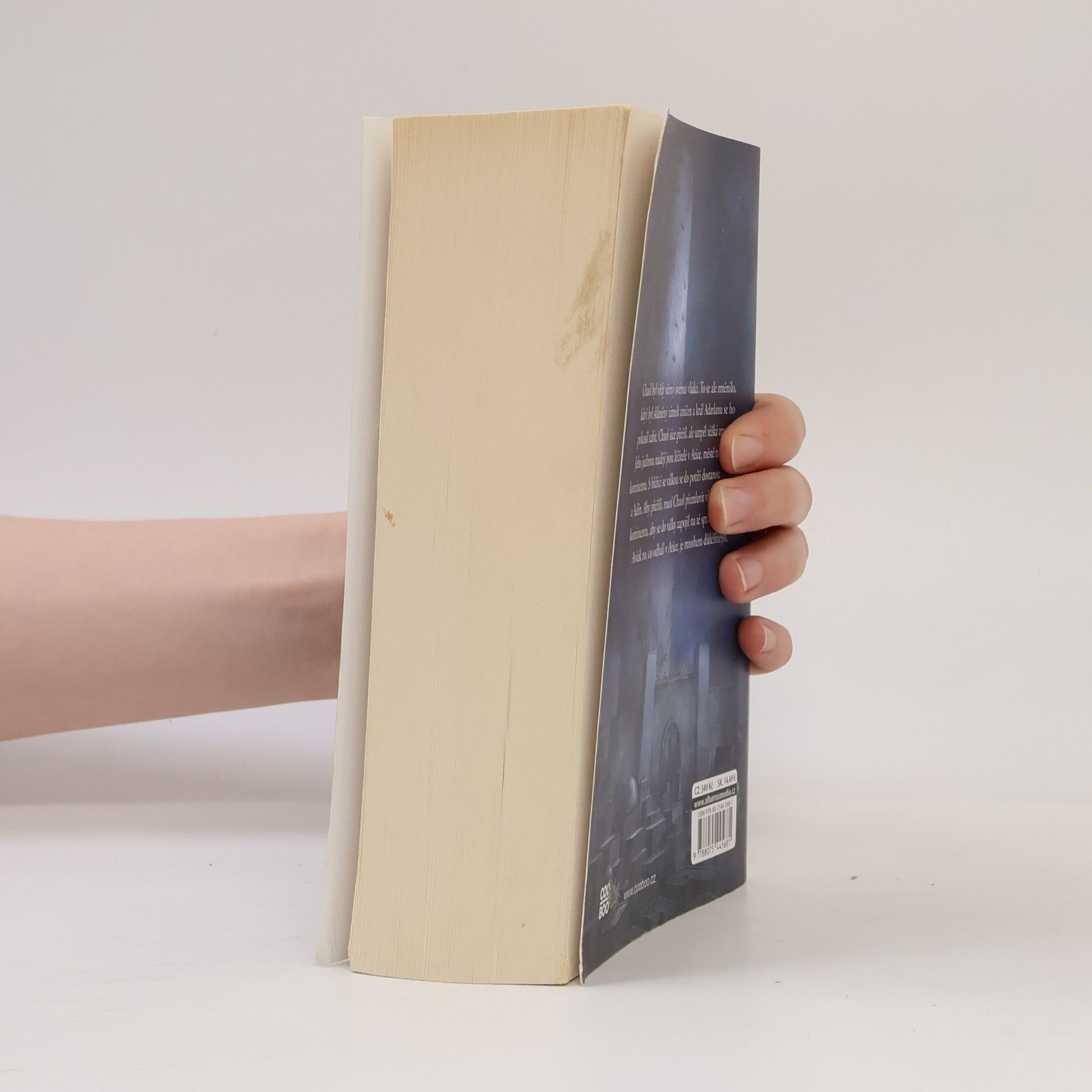 Sarah J. Maas Věž úsvitu