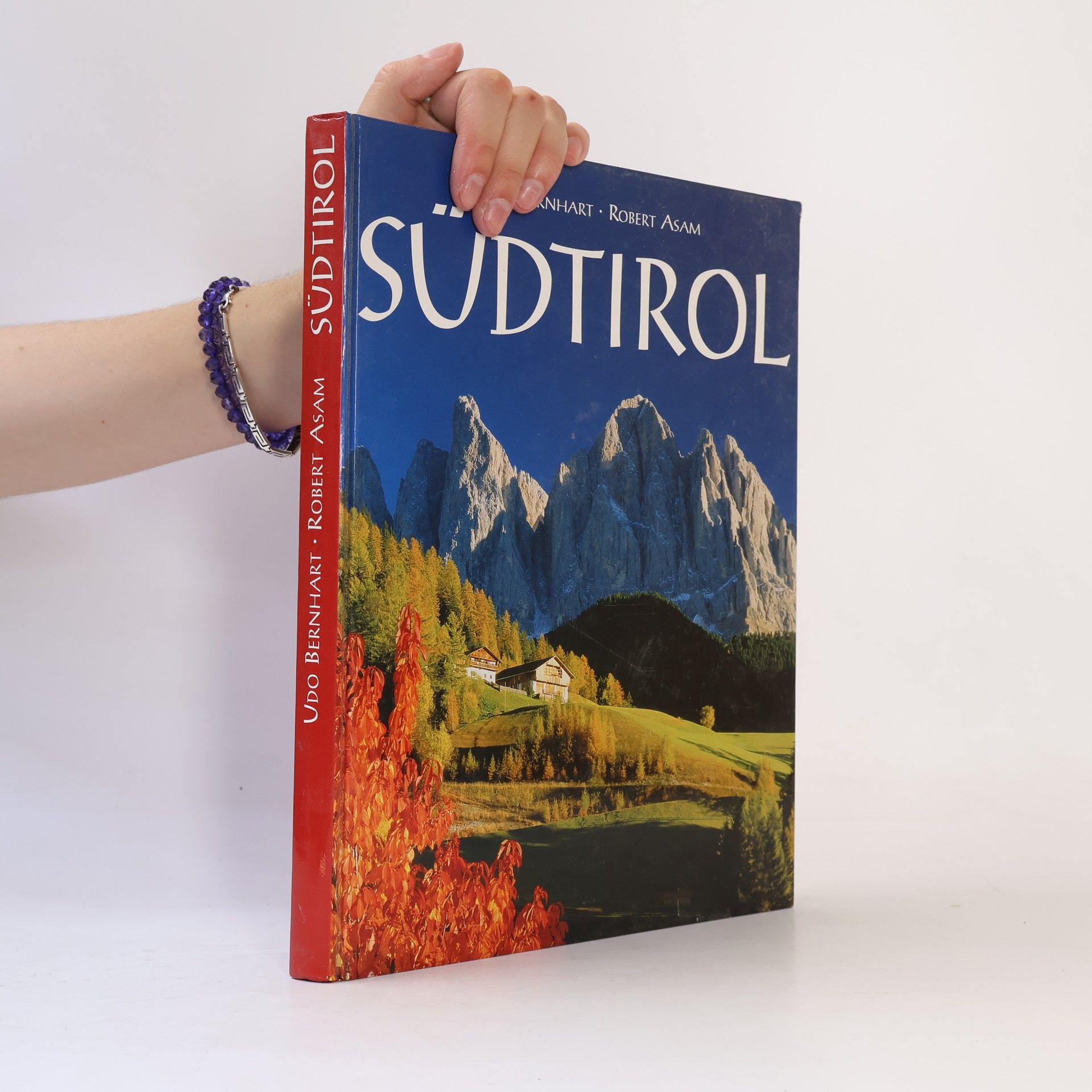 Udo Bernhart Südtirol