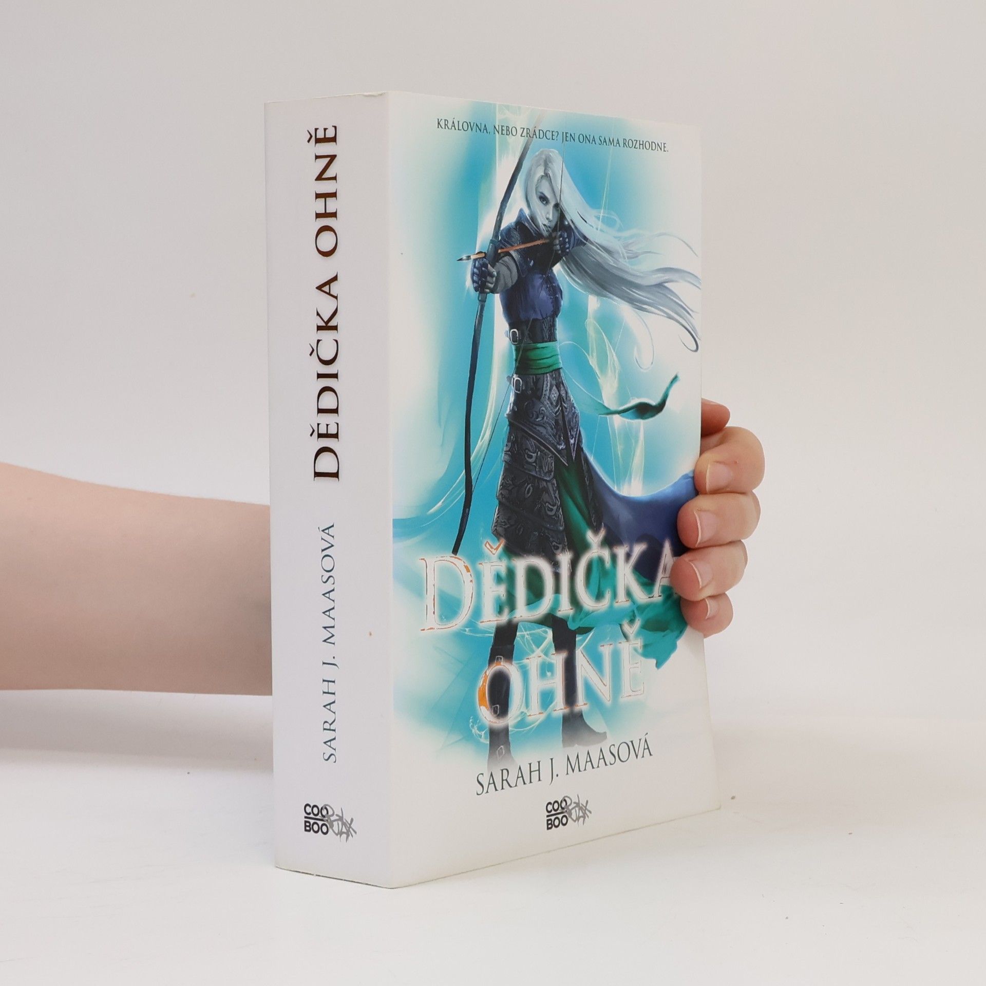 Sarah J. Maas Dědička ohně