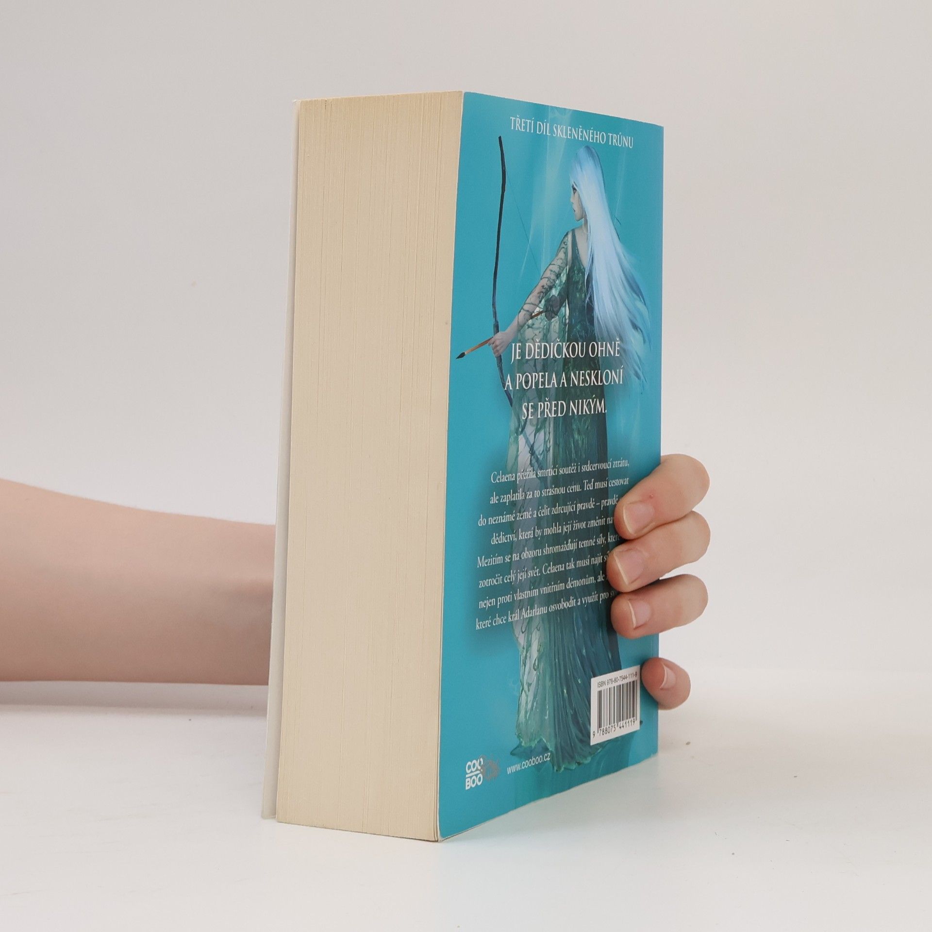 Sarah J. Maas Dědička ohně
