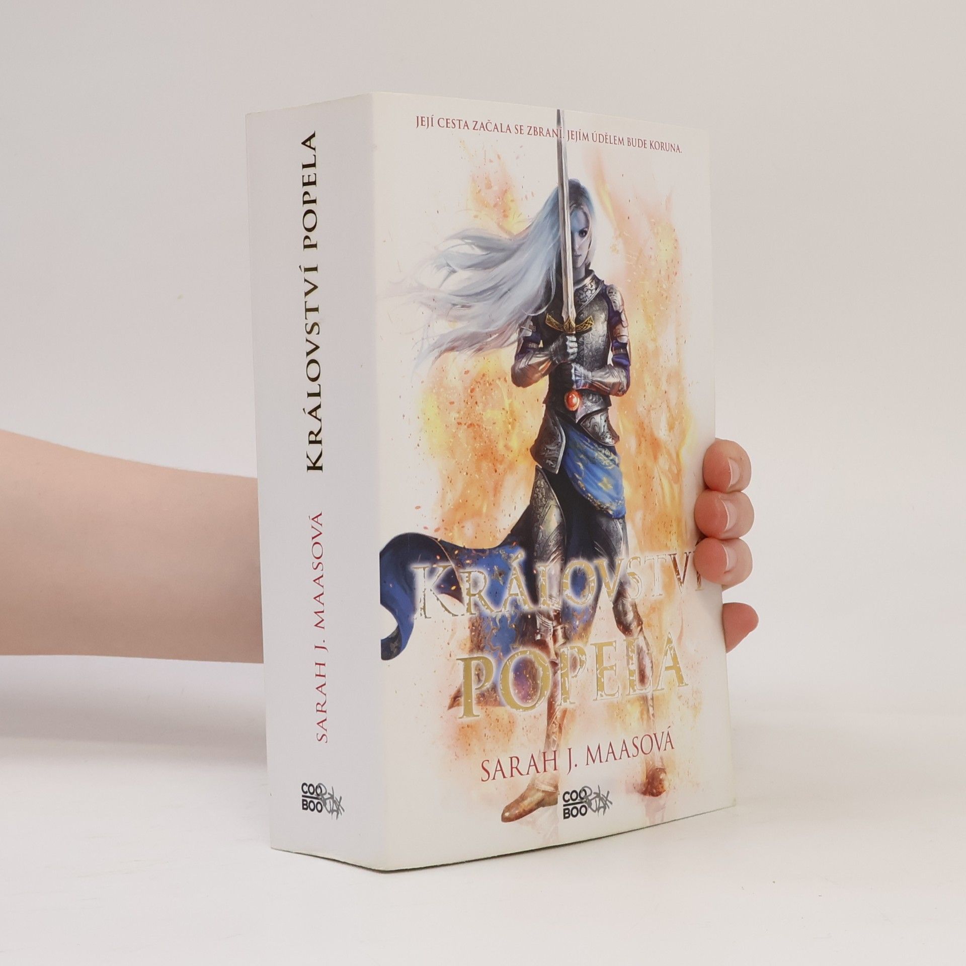 Sarah J. Maas Království popela