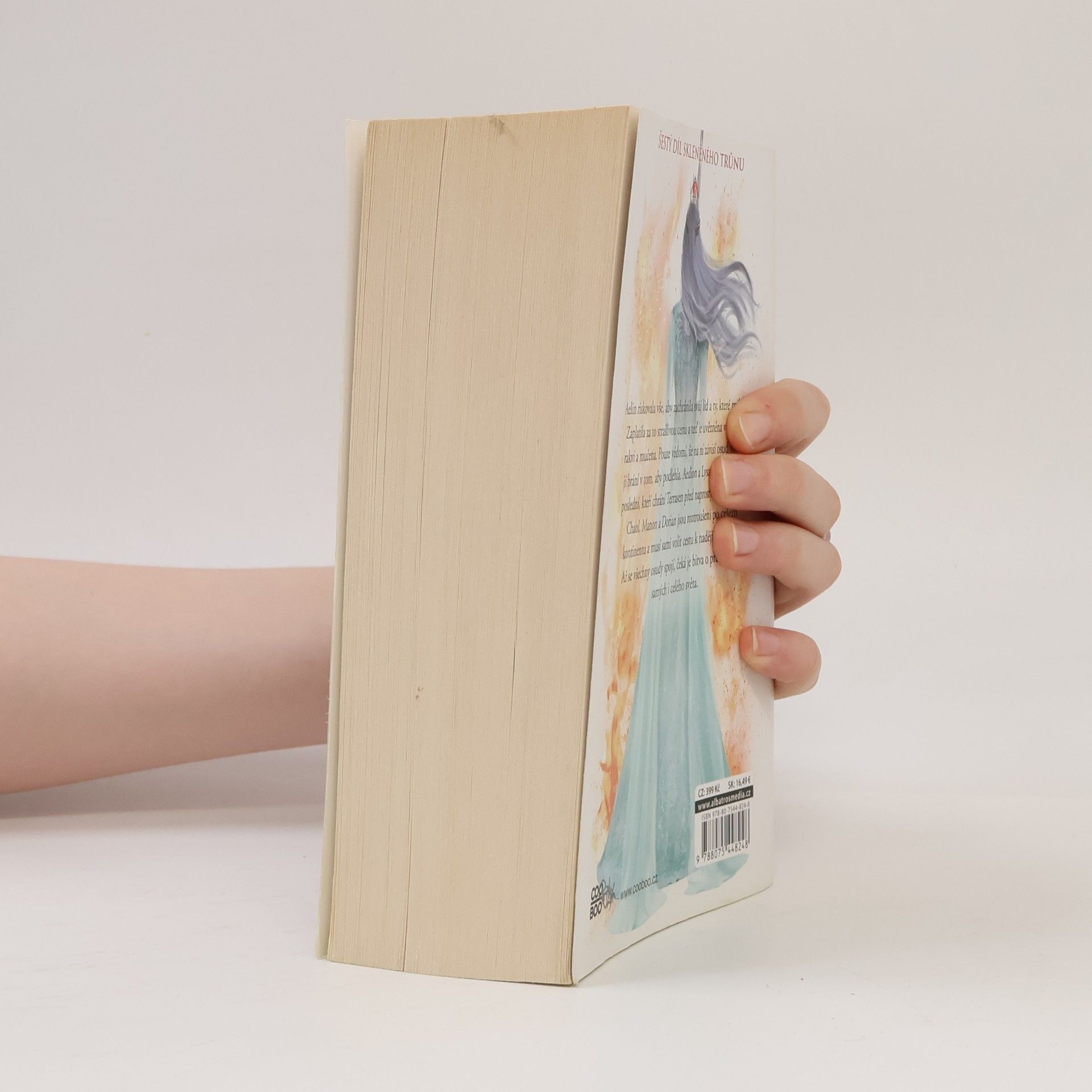 Sarah J. Maas Království popela