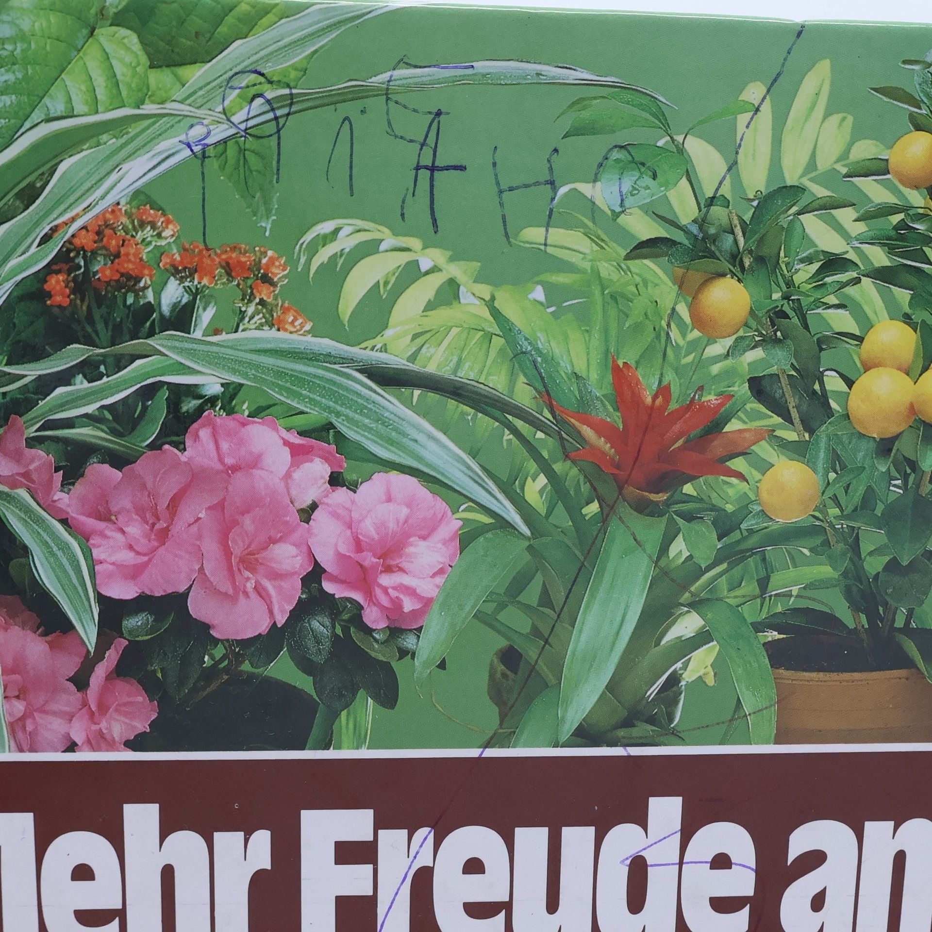 Edgar Gugenhan Mehr Freude an Zimmerpflanzen