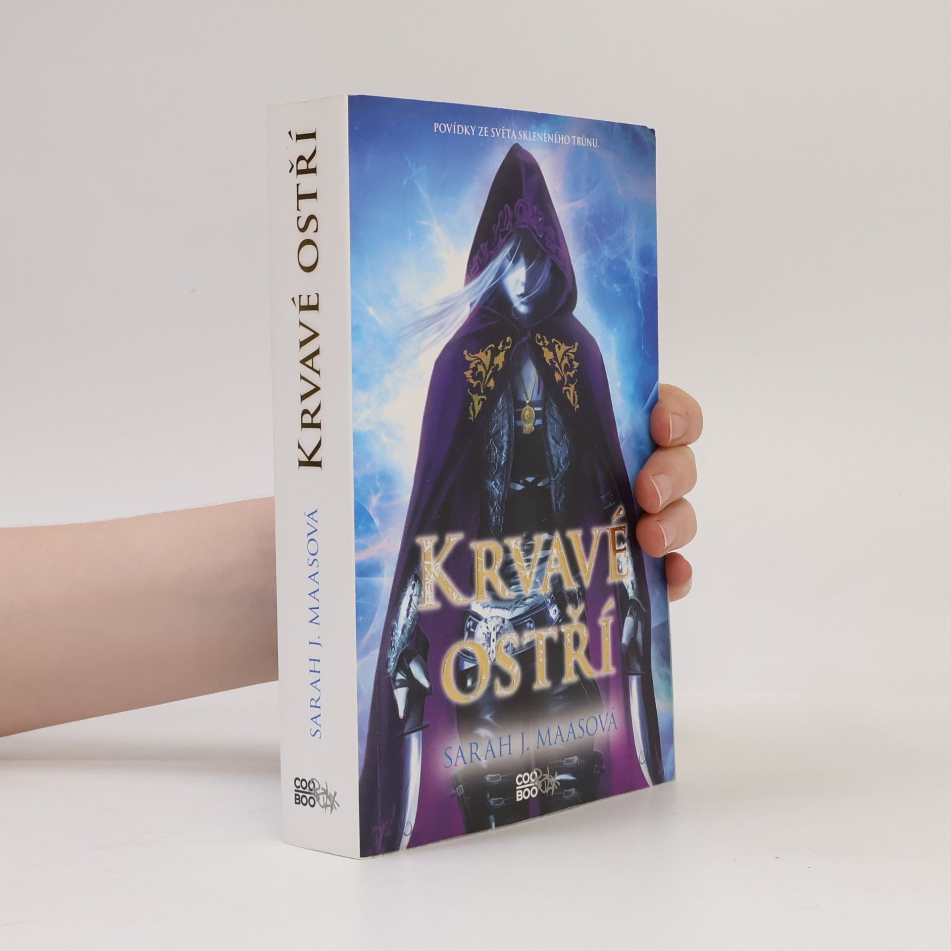 Sarah J. Maas Krvavé ostří