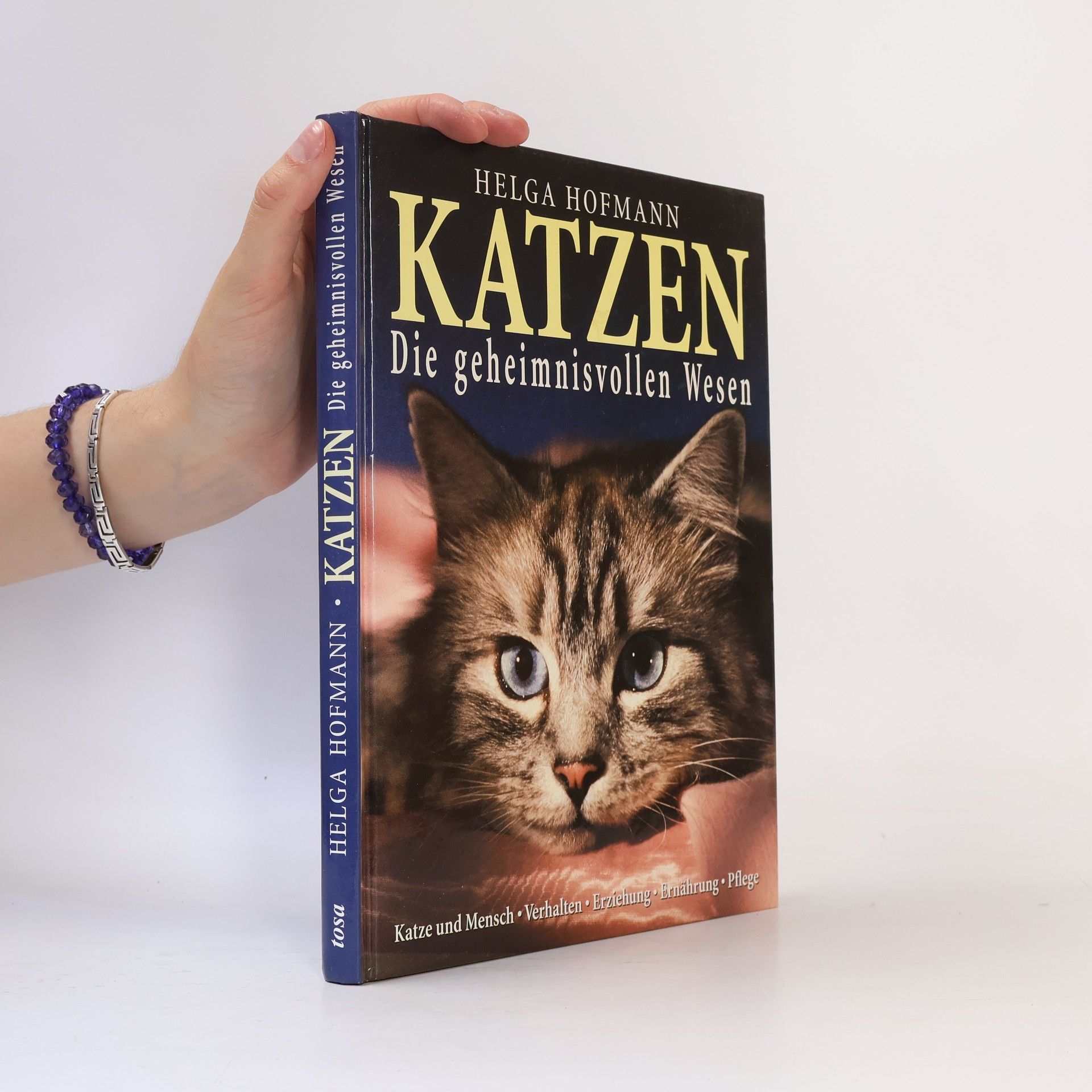 Katzen: die geheimnisvollen Wesen