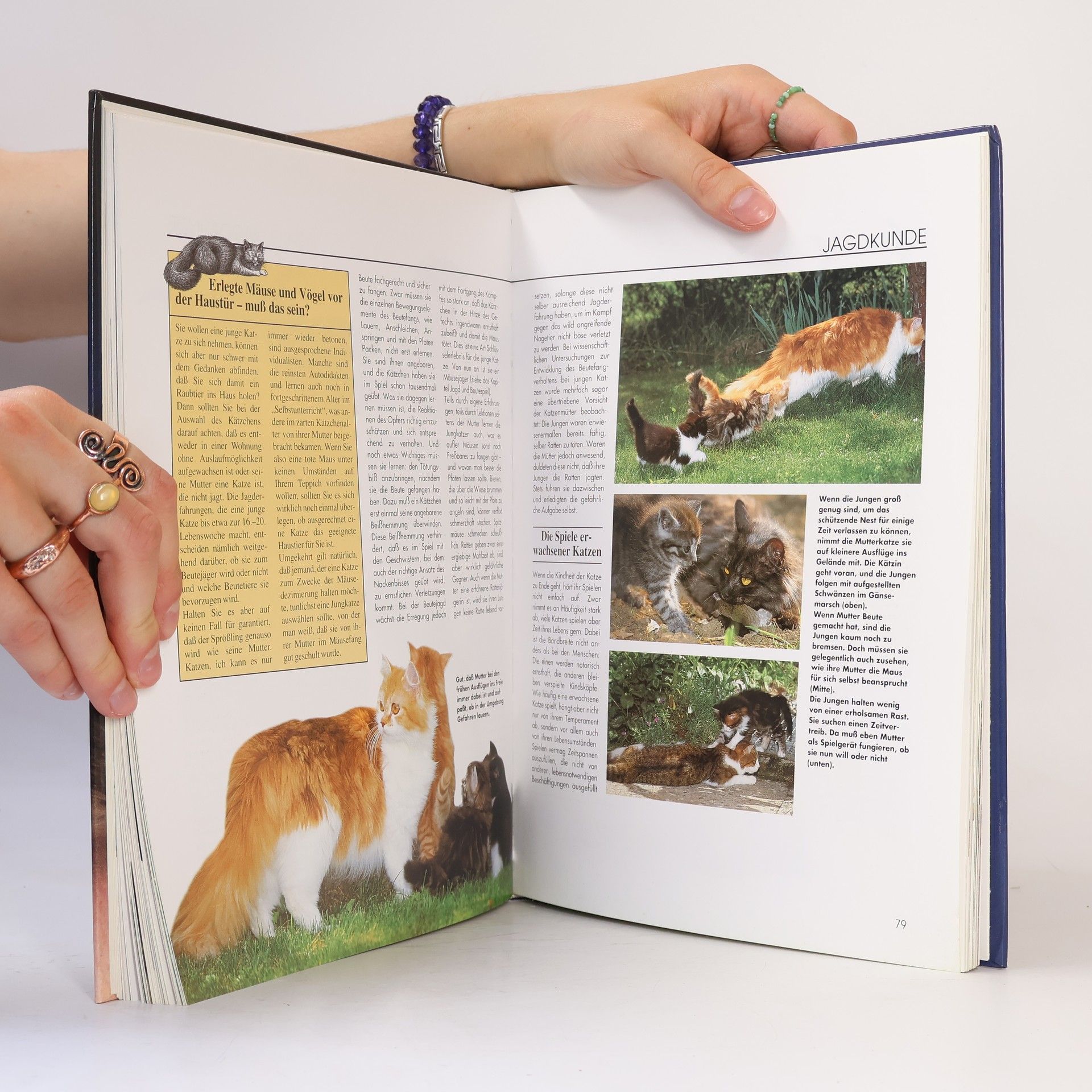 Helga Hofmann-Sieber Katzen: die geheimnisvollen Wesen