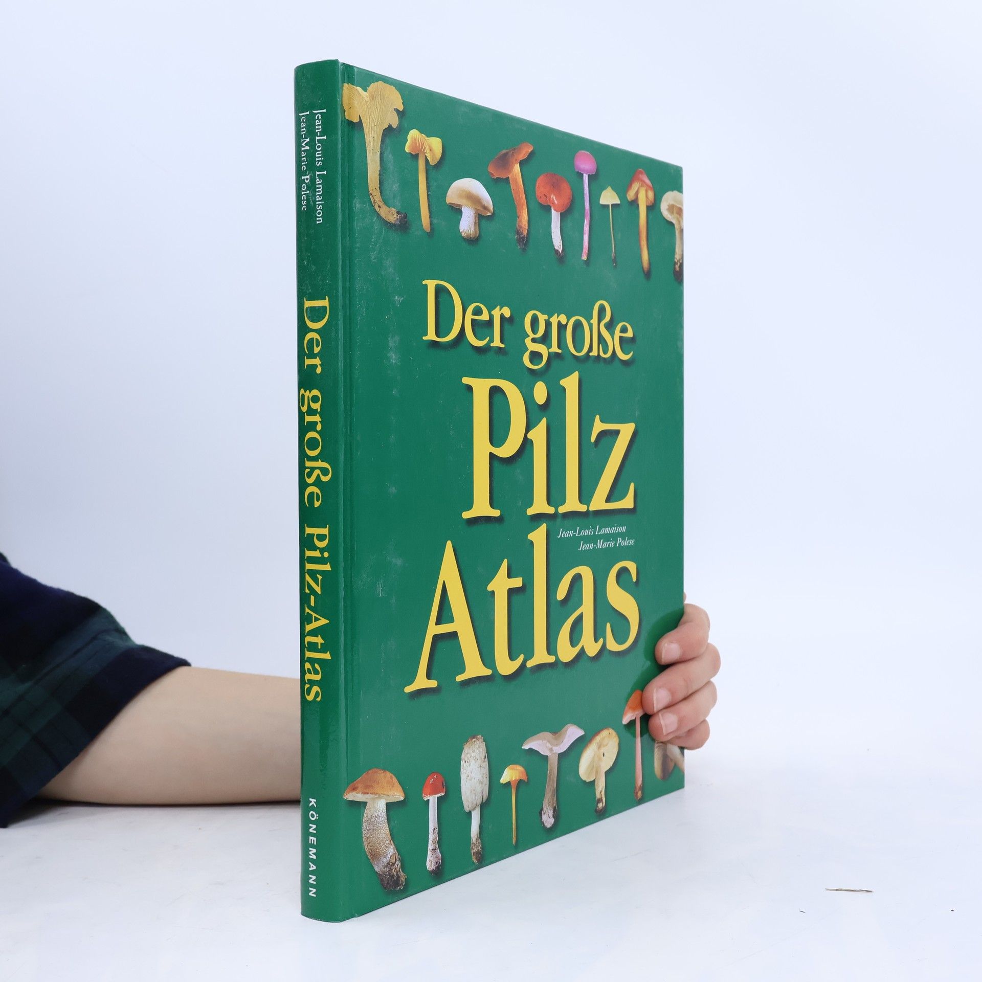 Marten Brandt Der große Pilz-Atlas