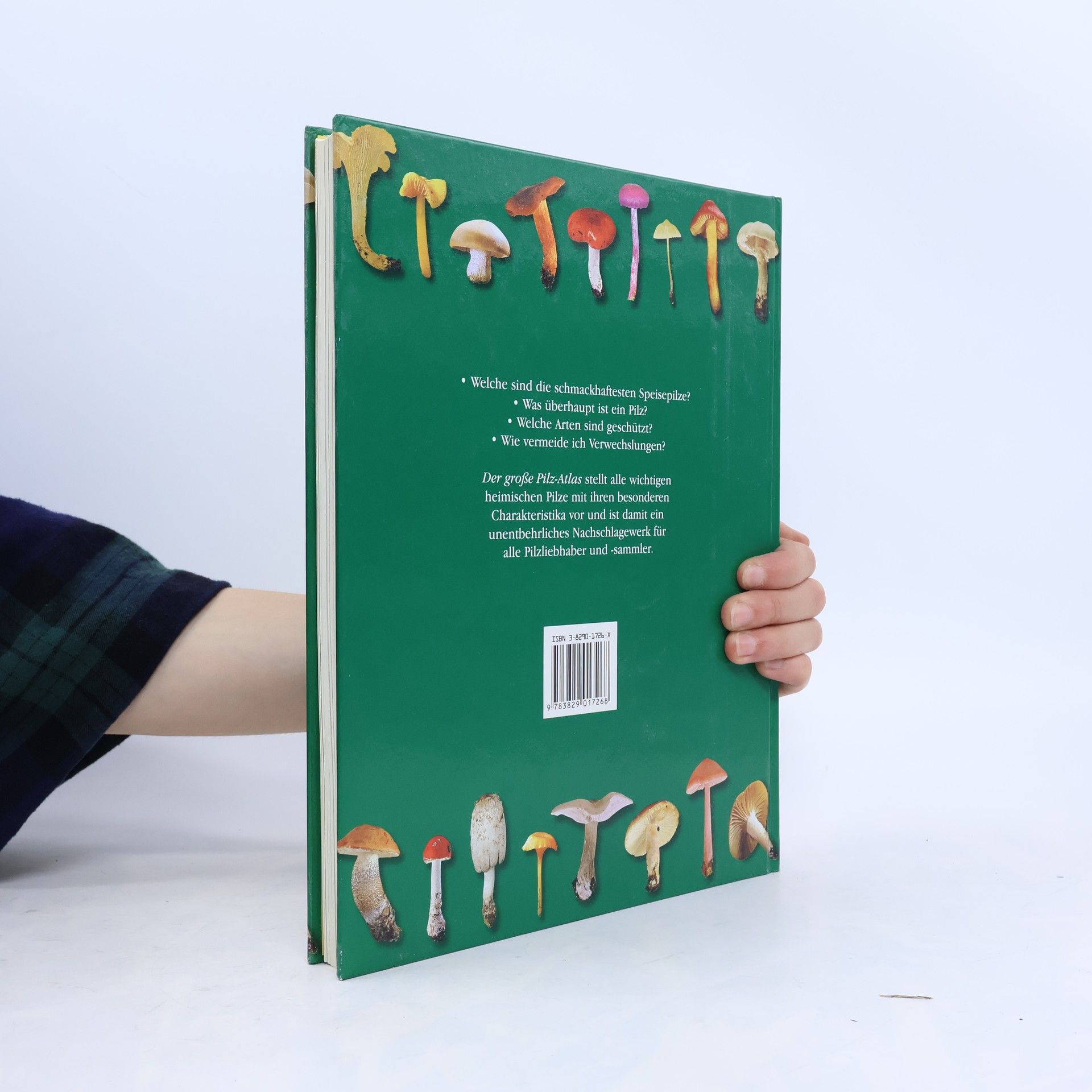 Marten Brandt Der große Pilz-Atlas