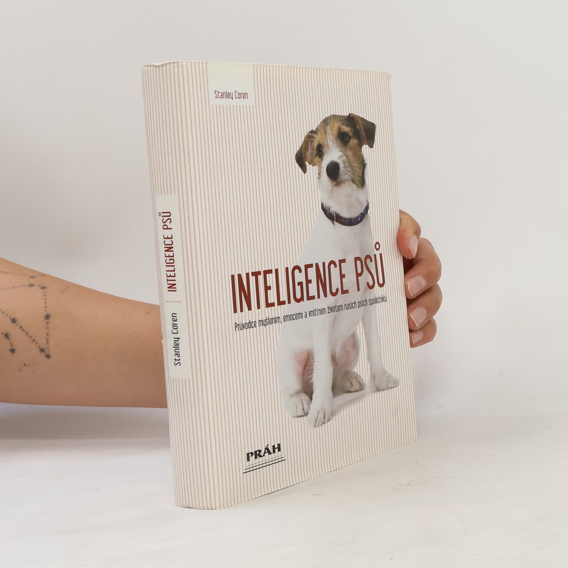 Stanley Coren Inteligence psů