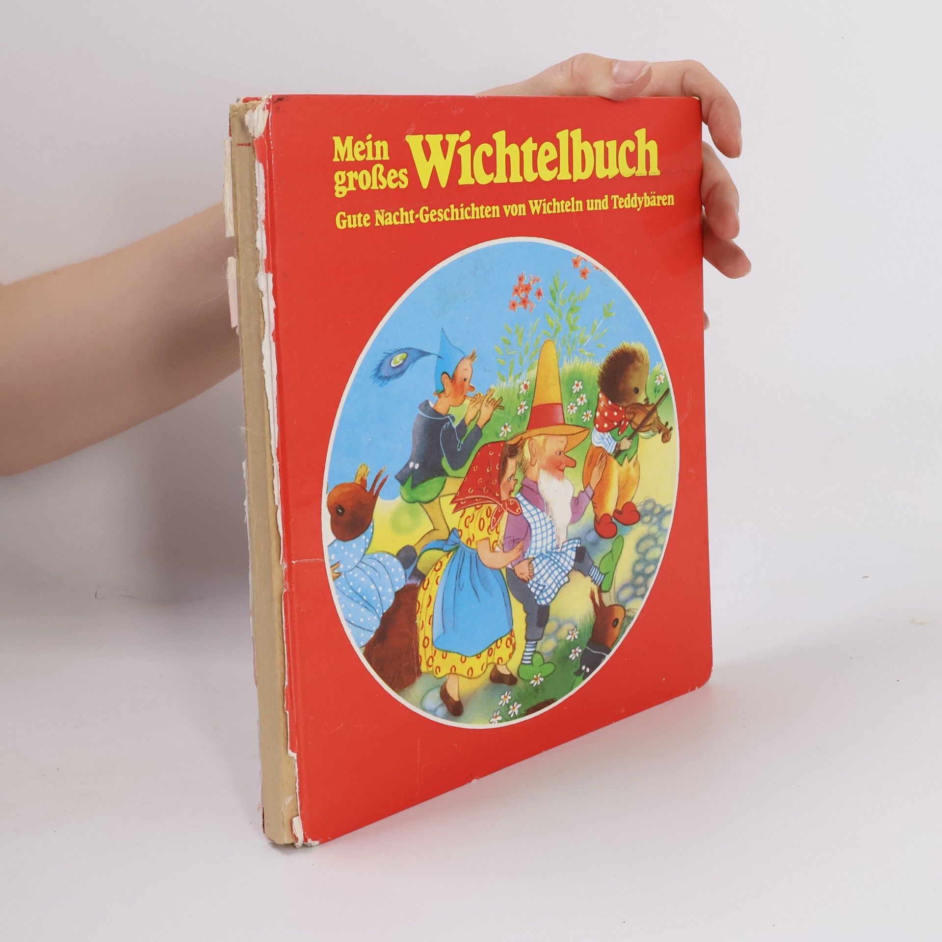 Collectif d'auteurs Mein große Wichtelbuch