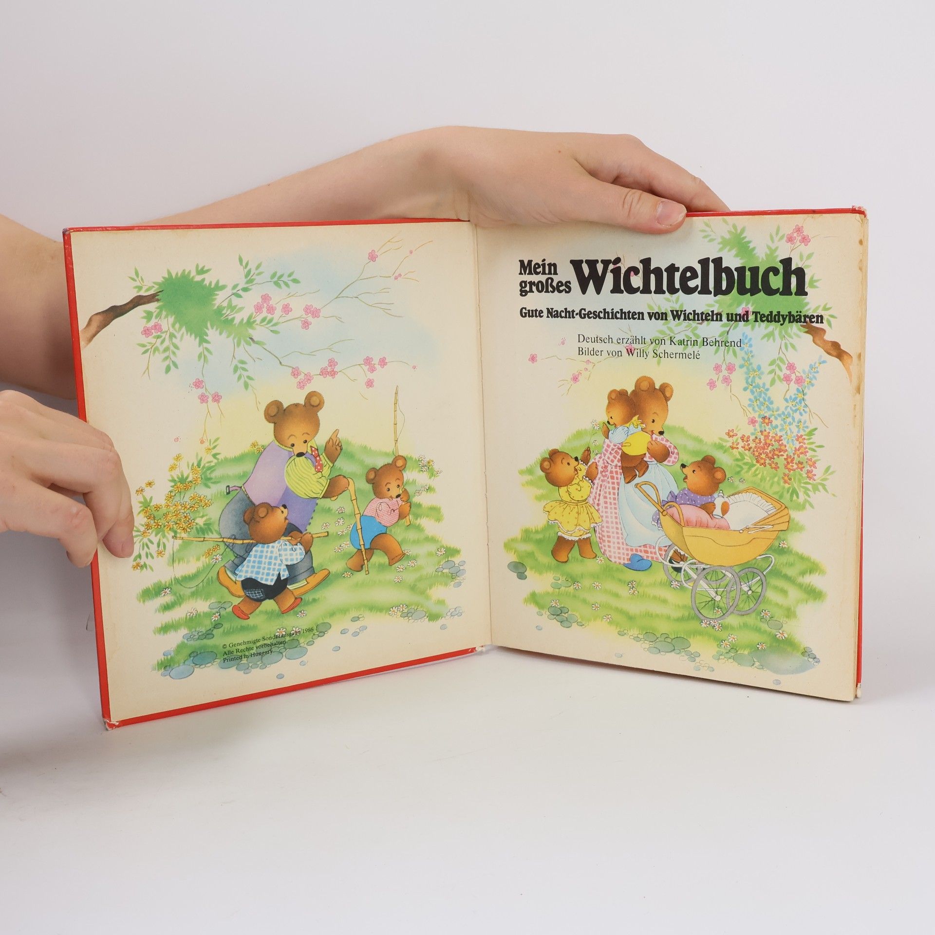 Collectif d'auteurs Mein große Wichtelbuch