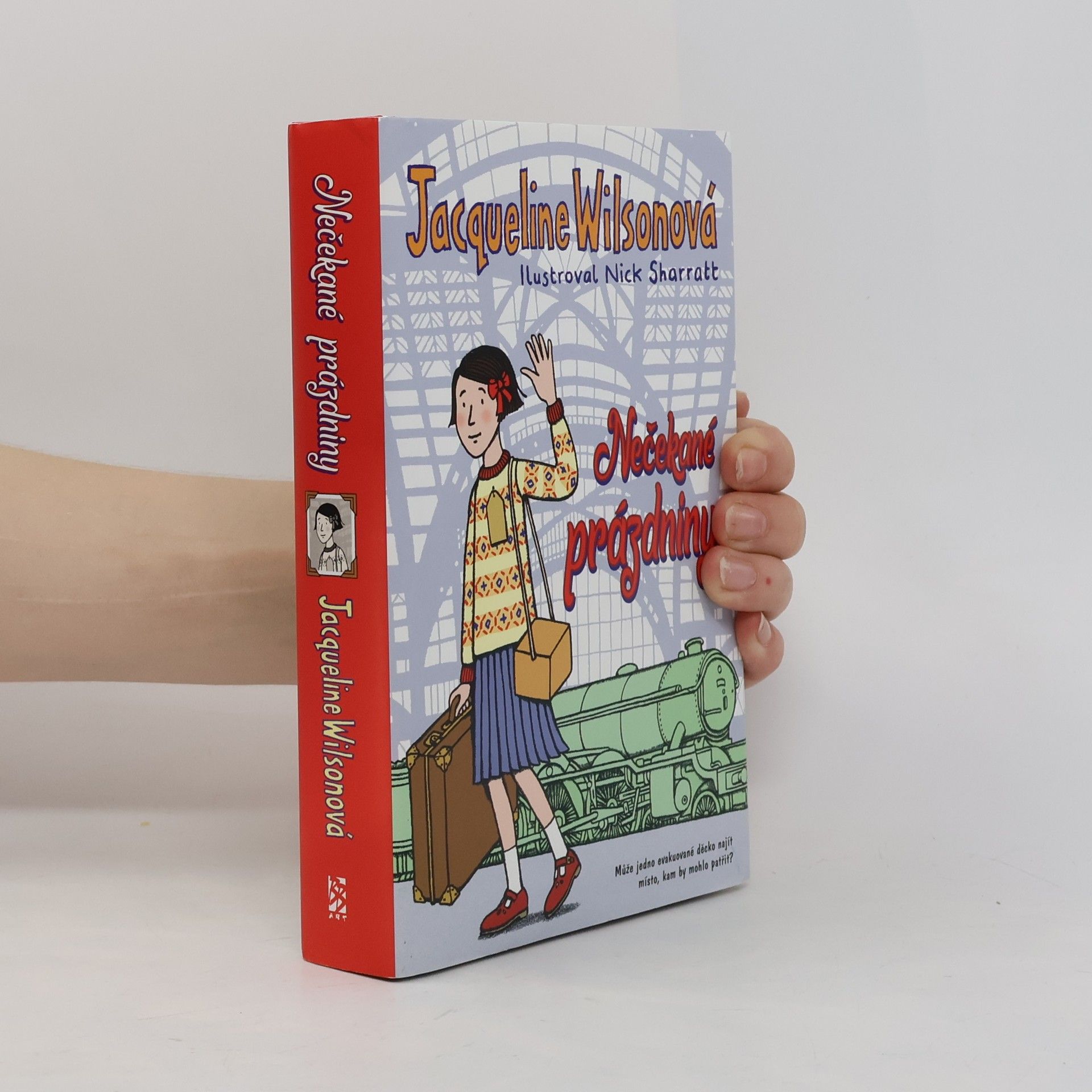 Jacqueline Wilson Nečekané prázdniny