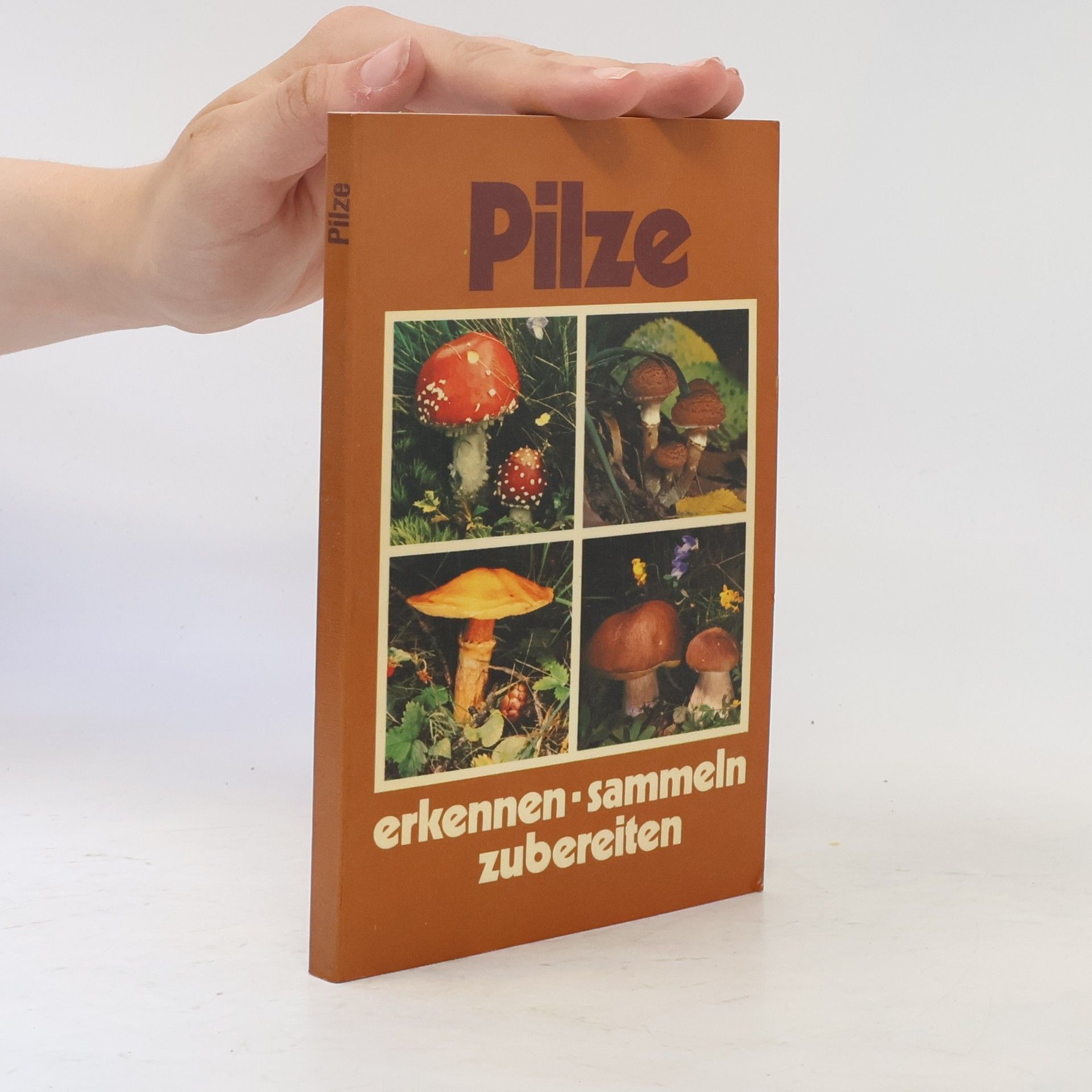 Autorenkollektiv Pilze