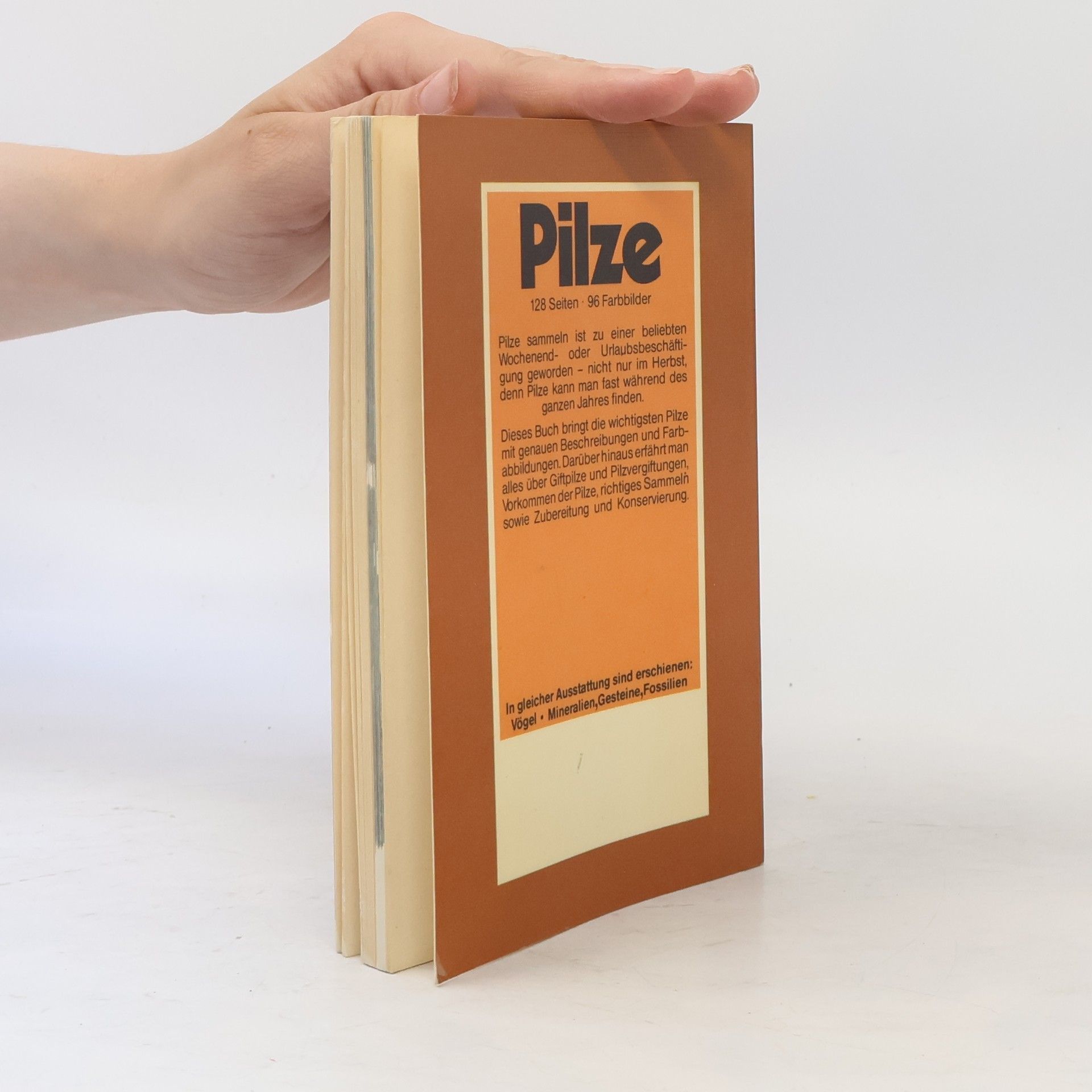 Autorenkollektiv Pilze