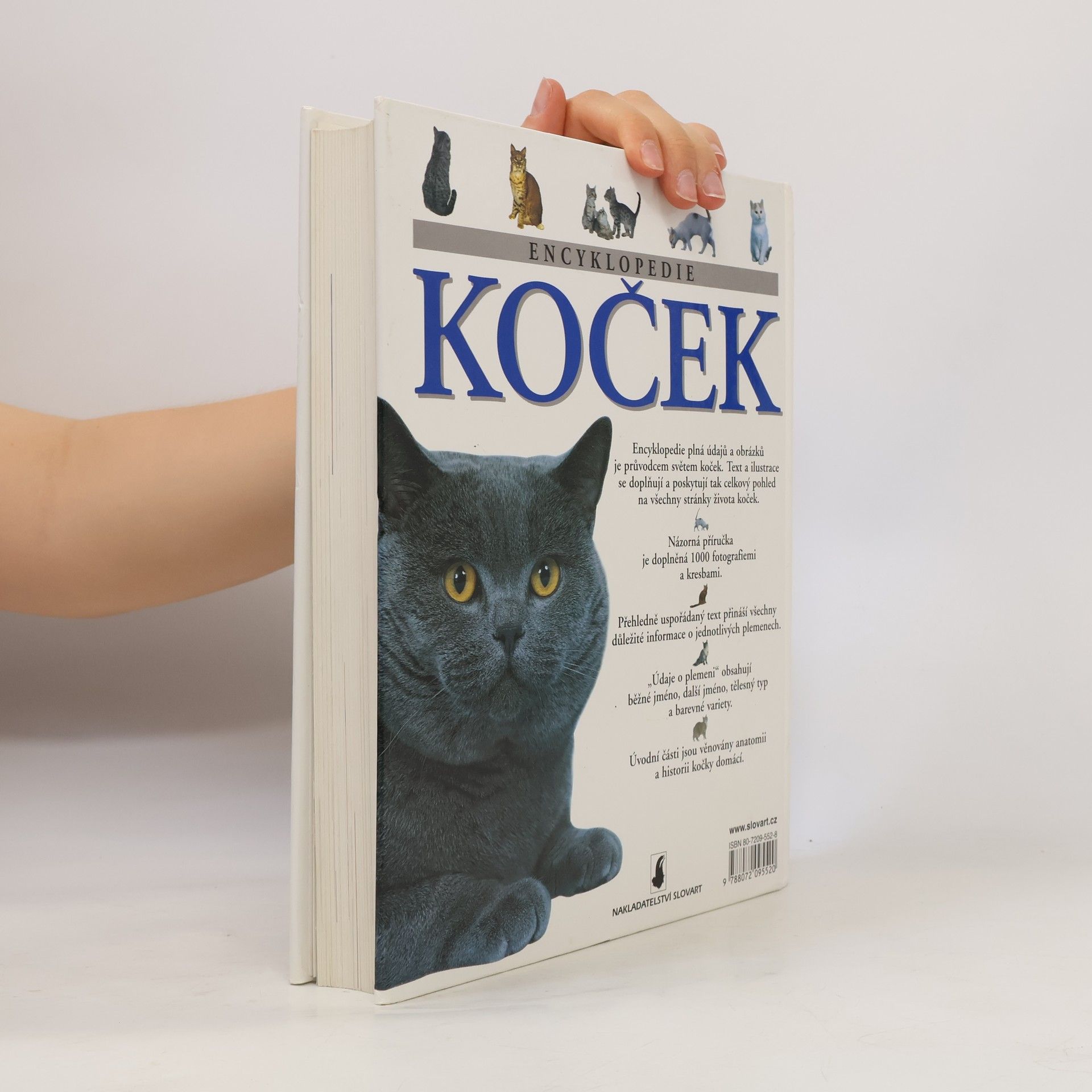Michael Pollard Encyklopedie koček