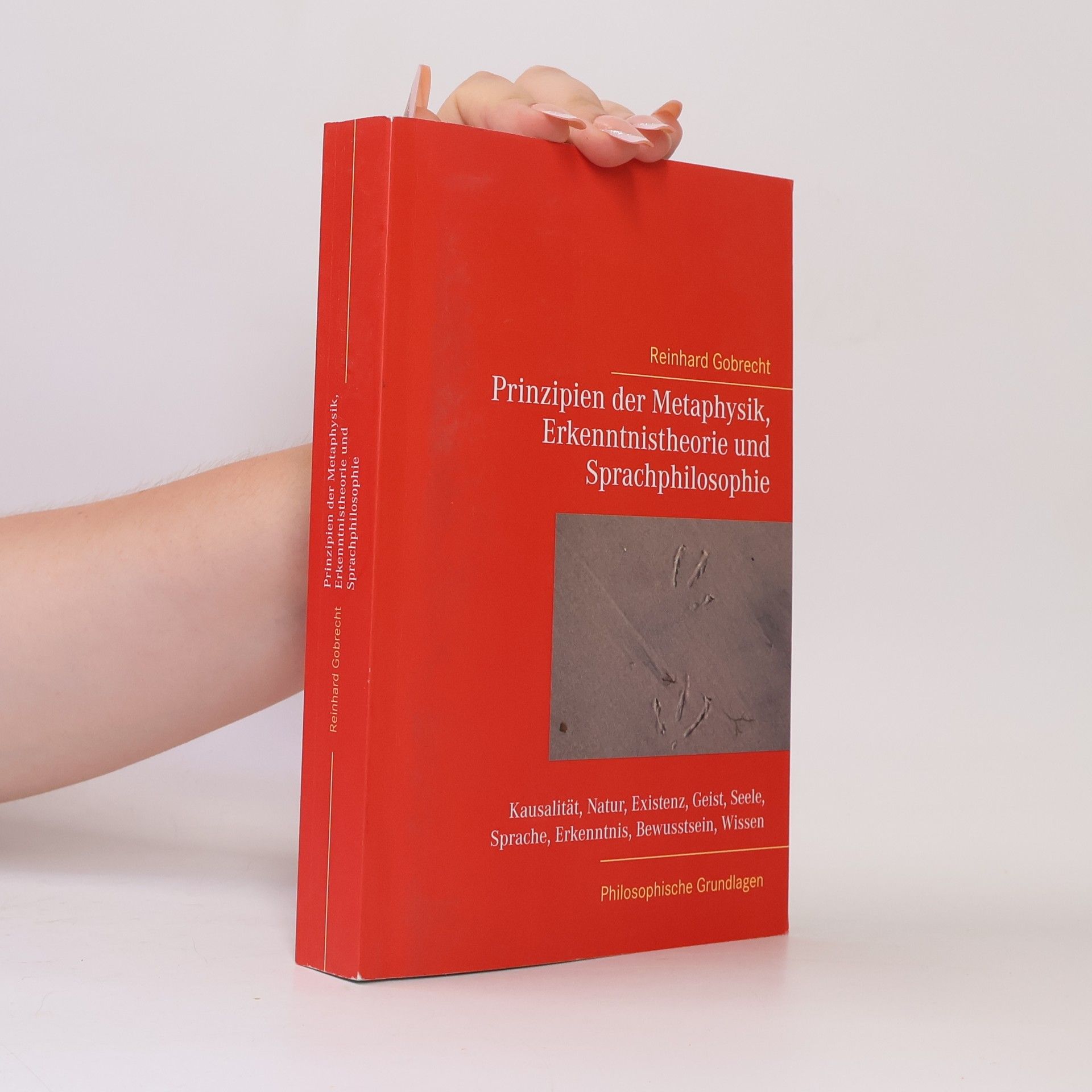 Reinhard Gobrecht Prinzipien der Metaphysik, Erkenntnistheorie und Sprachphilosophie. Philosophische Grundlagen