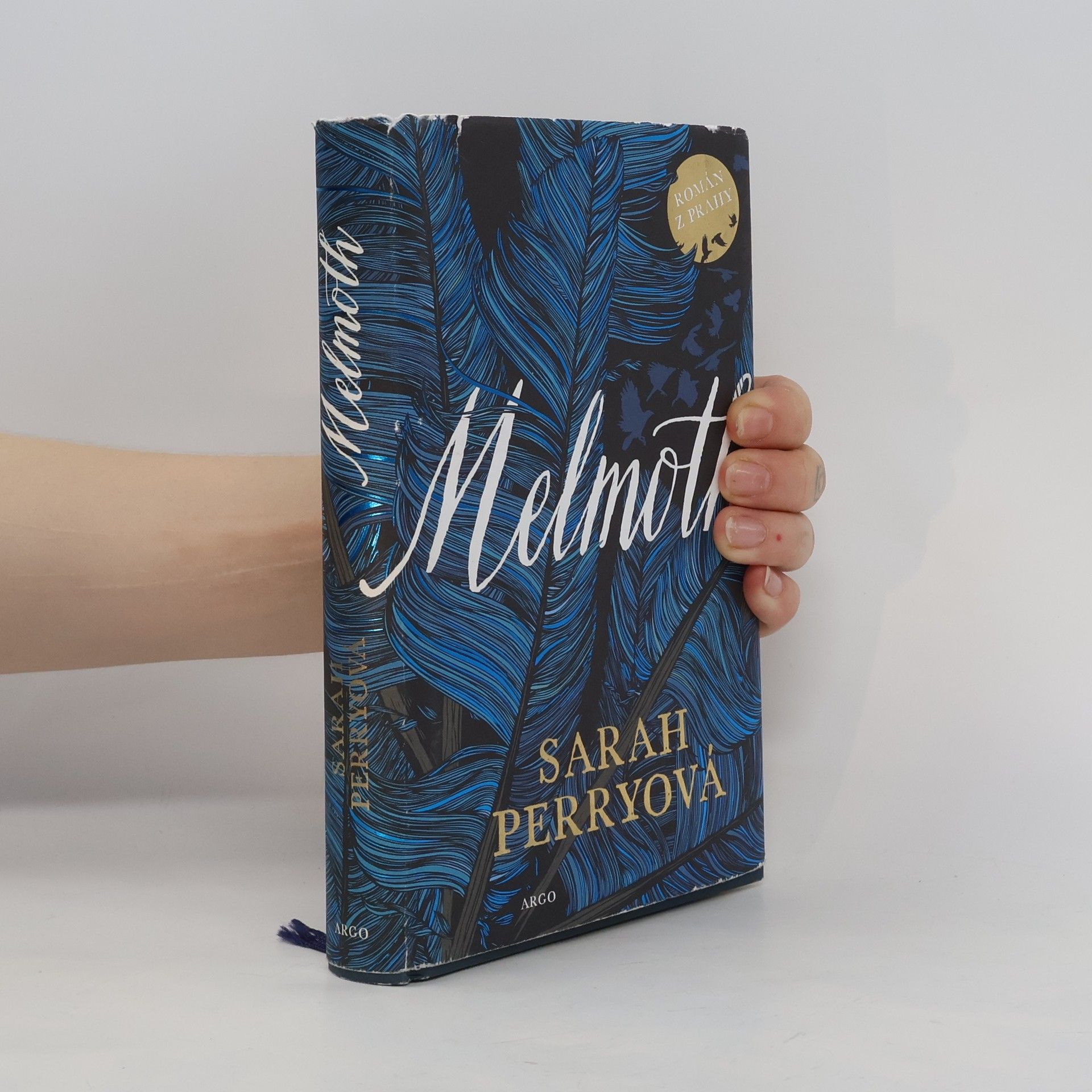Sarah Perry Melmoth