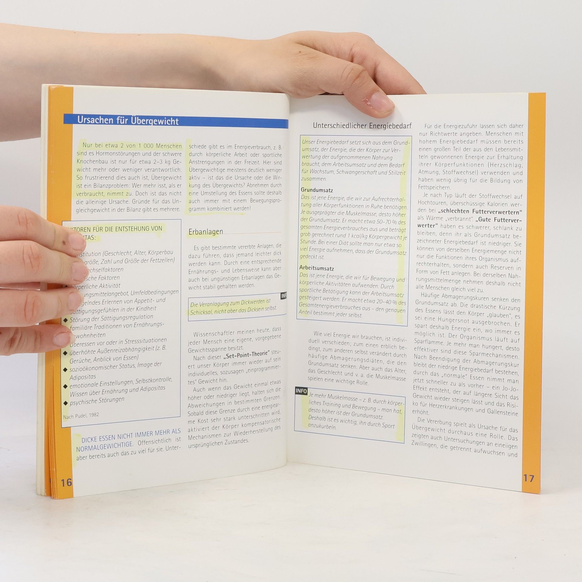 Autores varios Abnehmen – aber wie?