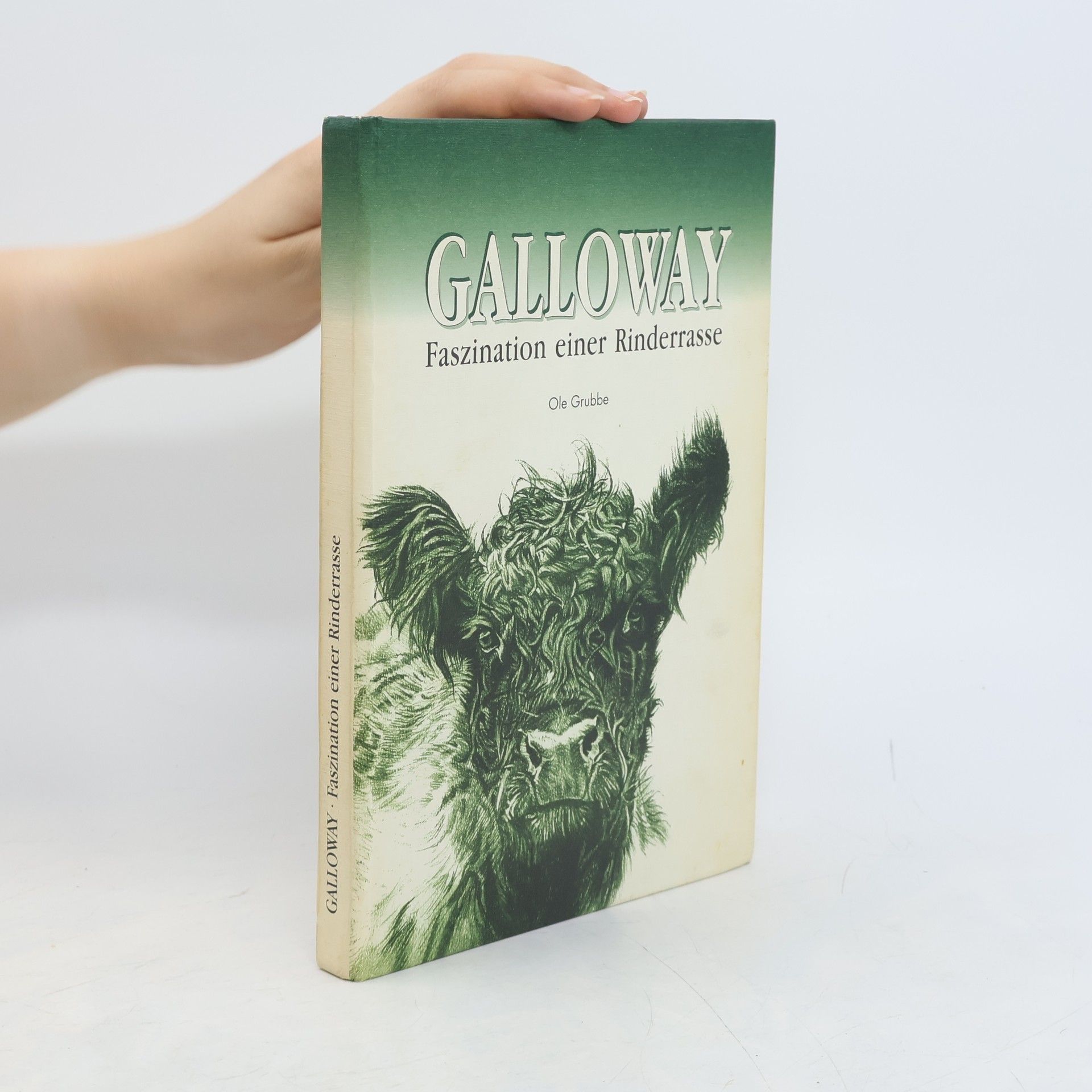 Ole Grubbe Galloway