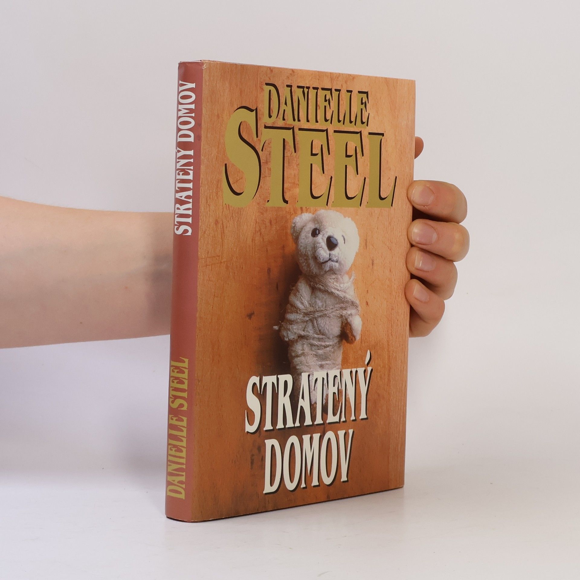Danielle Steelová Stratený domov