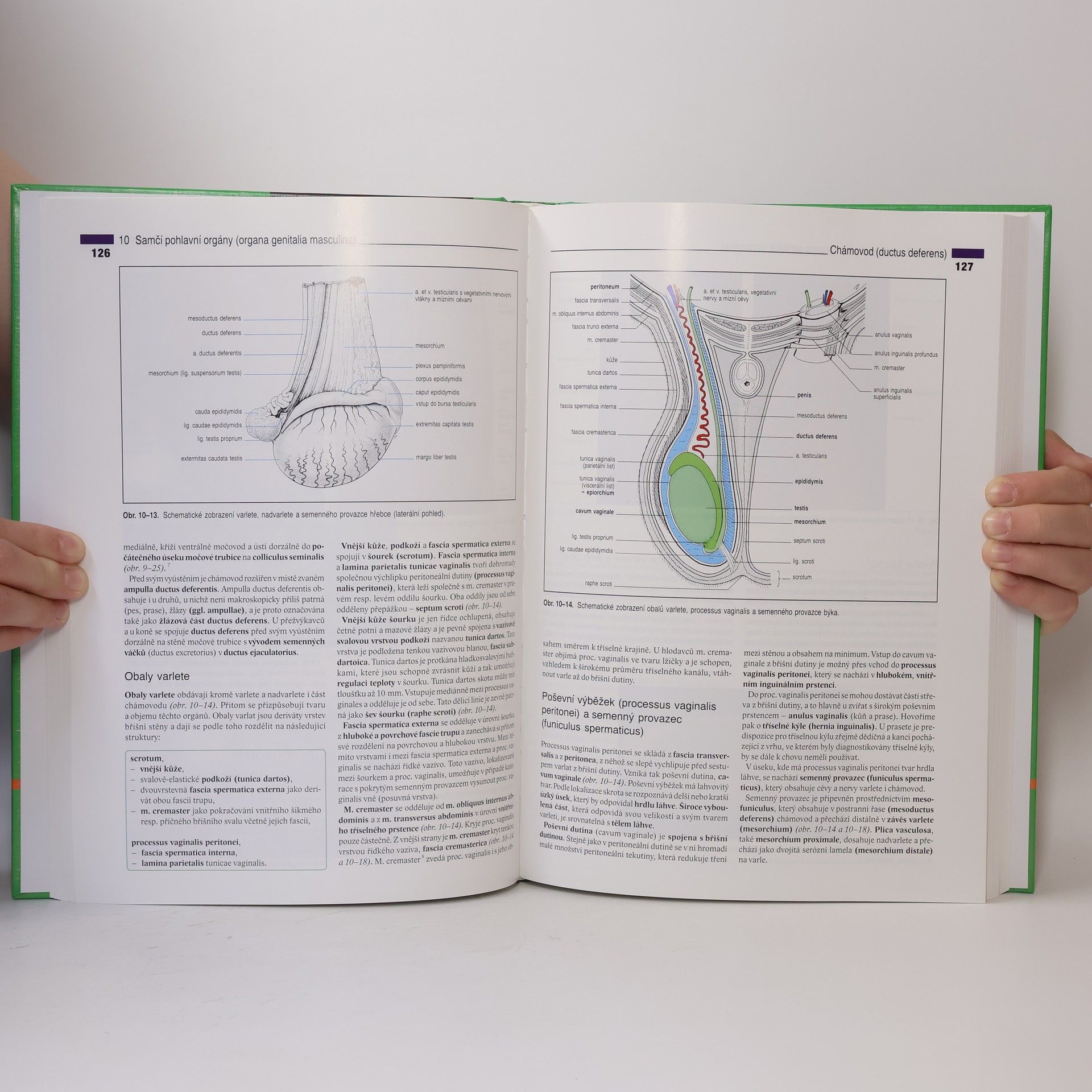 Horst Erich König Anatomie domácích savců 2. Anatómia domácich cicavcov 2