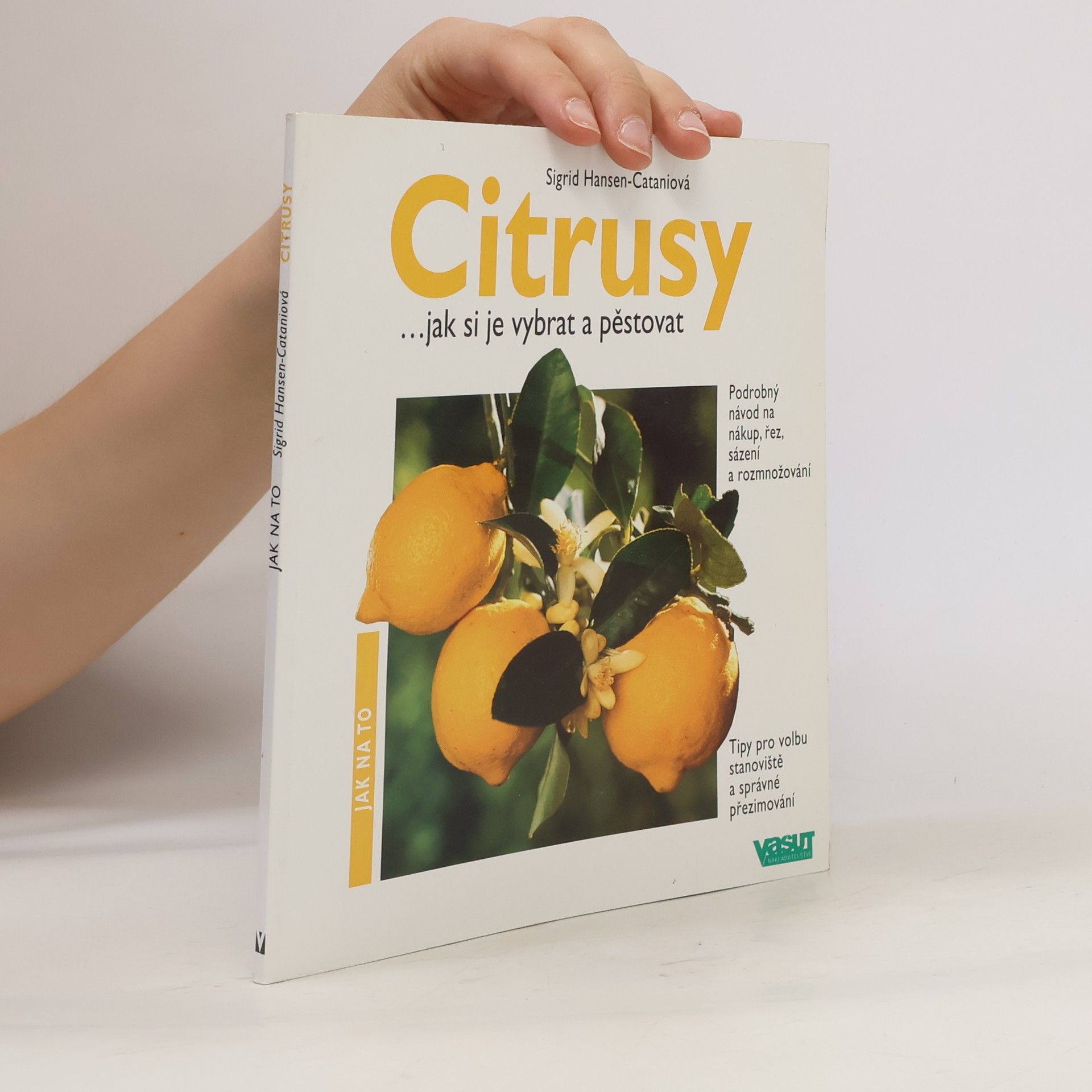 Sigrid HansenCatani Citrusy