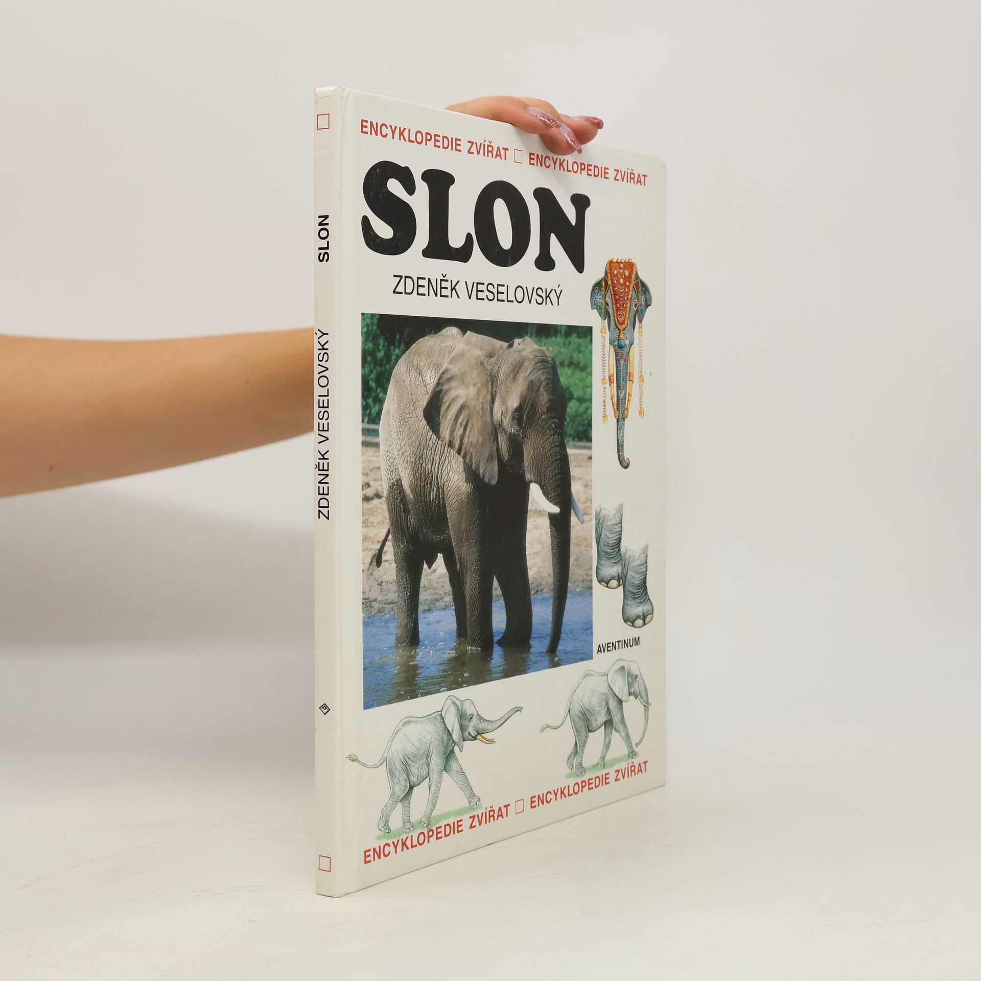 Zdeněk Veselovský Slon